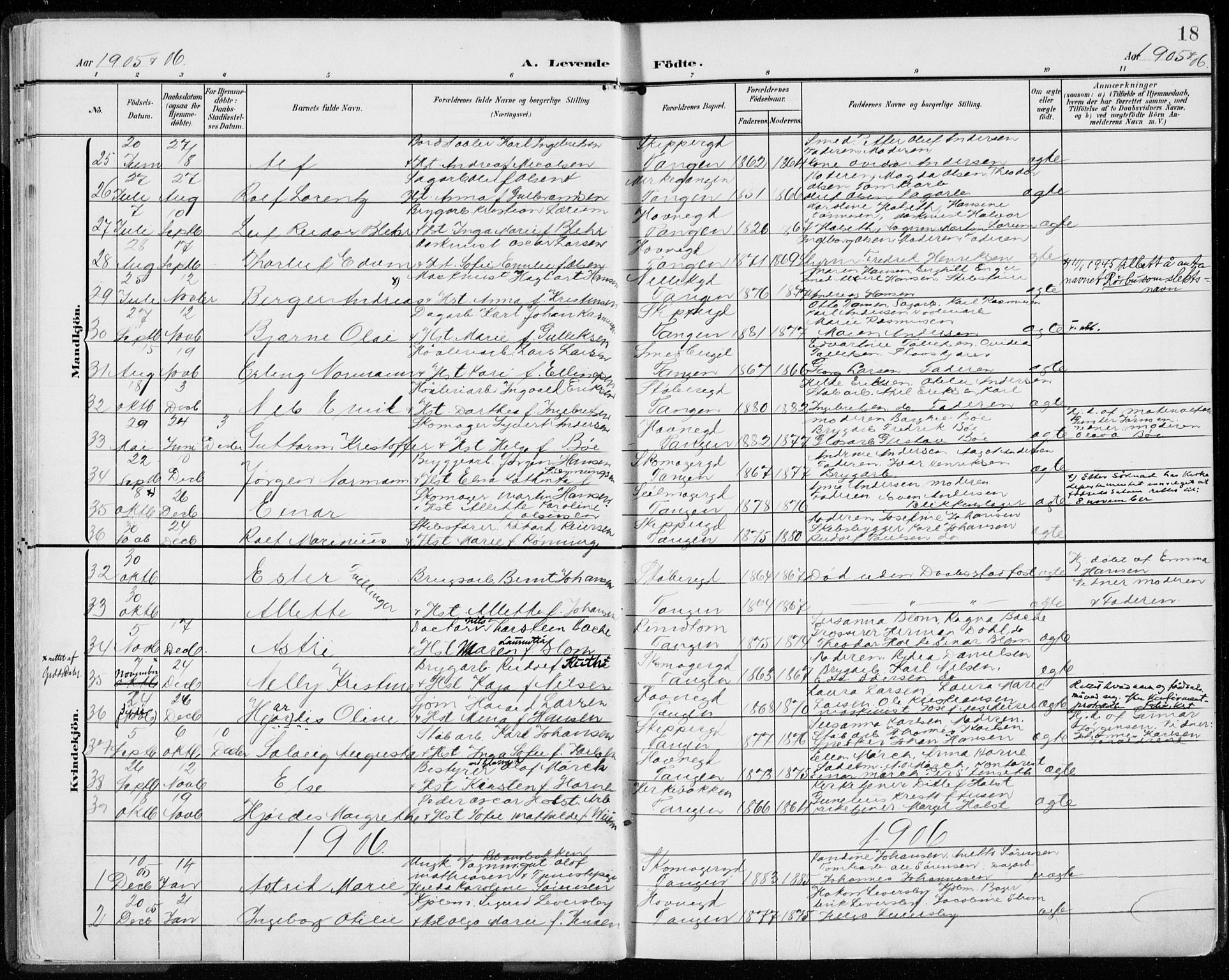 Strømsø kirkebøker, AV/SAKO-A-246/F/Fb/L0008: Parish register (official) no. II 8, 1902-1933, p. 18