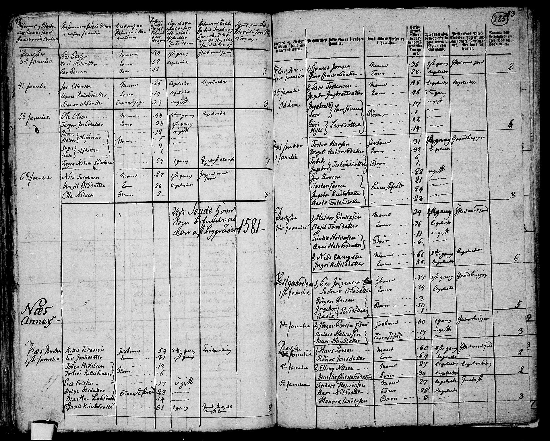 RA, 1801 census for 0822P Sauherad, 1801, p. 284b-285a