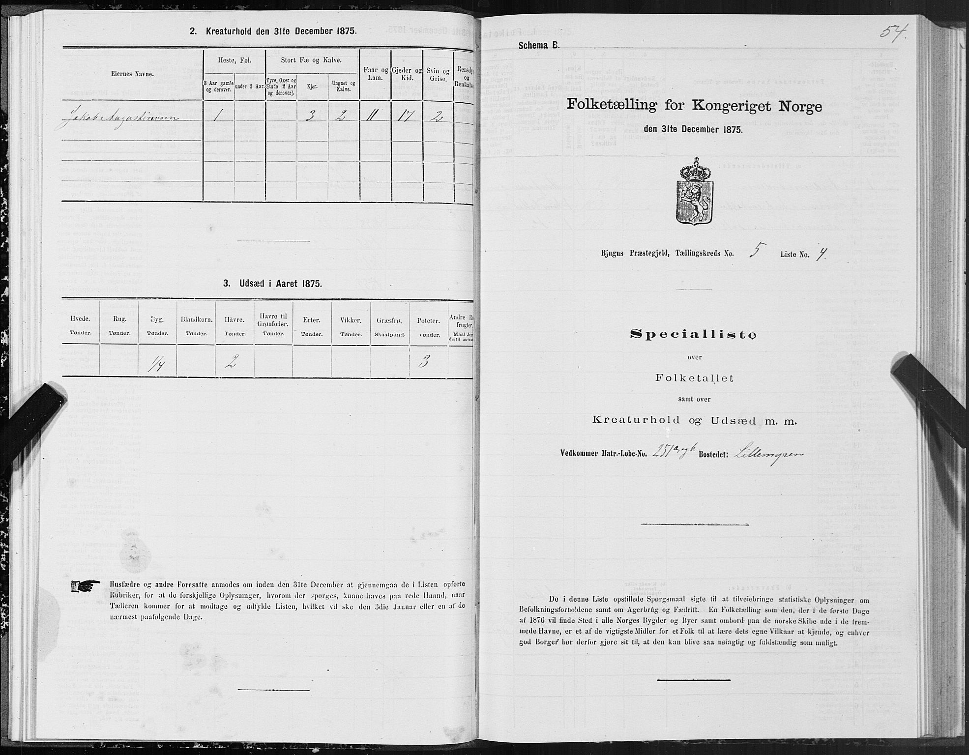 SAT, 1875 census for 1627P Bjugn, 1875, p. 3054