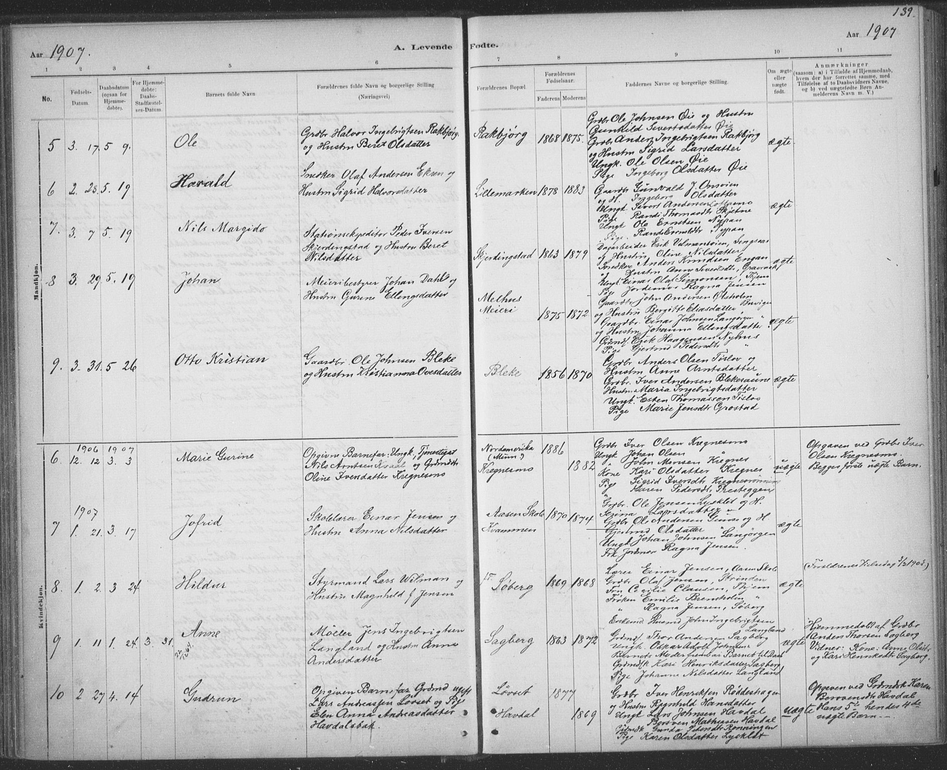 Ministerialprotokoller, klokkerbøker og fødselsregistre - Sør-Trøndelag, AV/SAT-A-1456/691/L1085: Parish register (official) no. 691A17, 1887-1908, p. 139