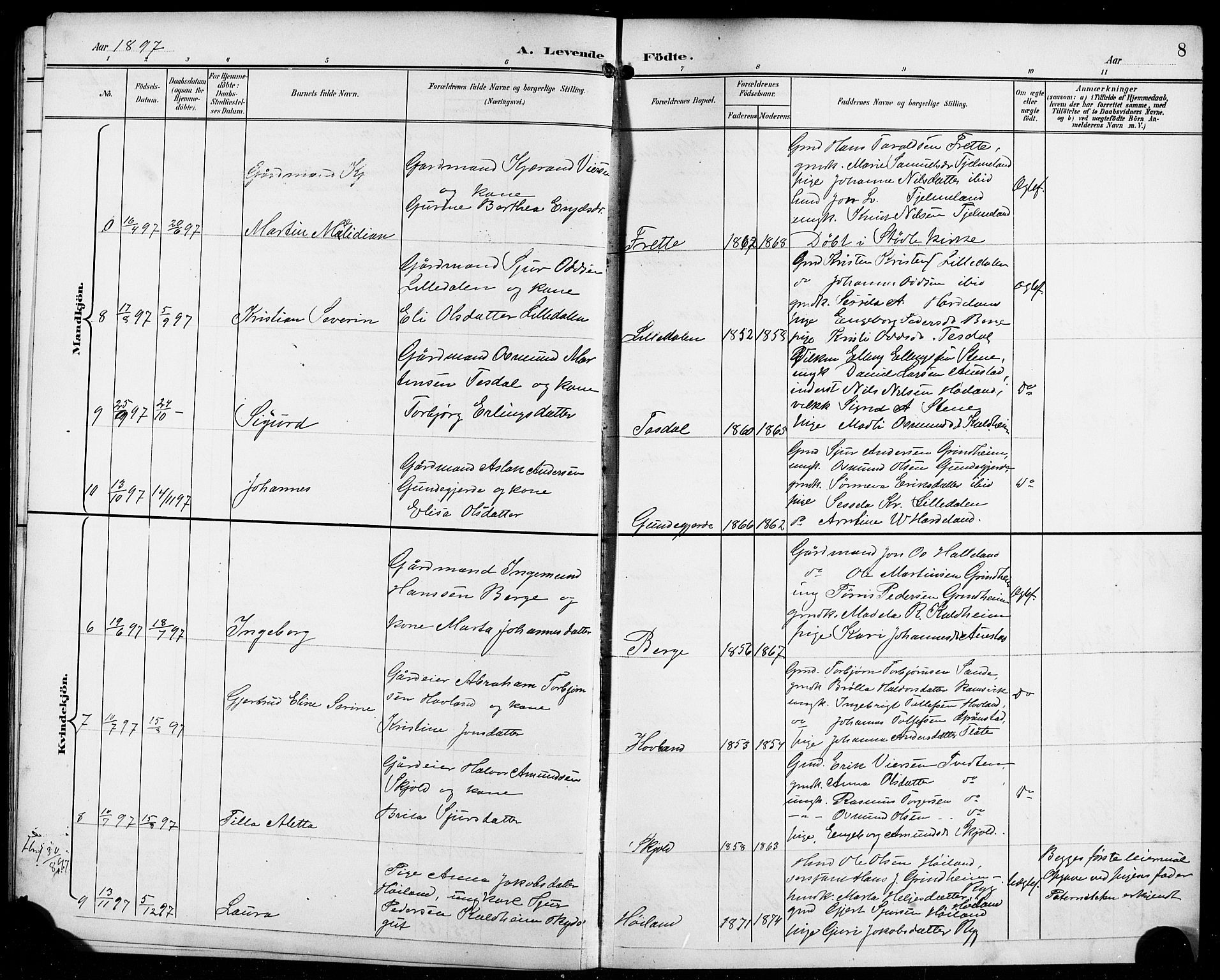 Etne sokneprestembete, AV/SAB-A-75001/H/Hab: Parish register (copy) no. C 5, 1896-1920, p. 8