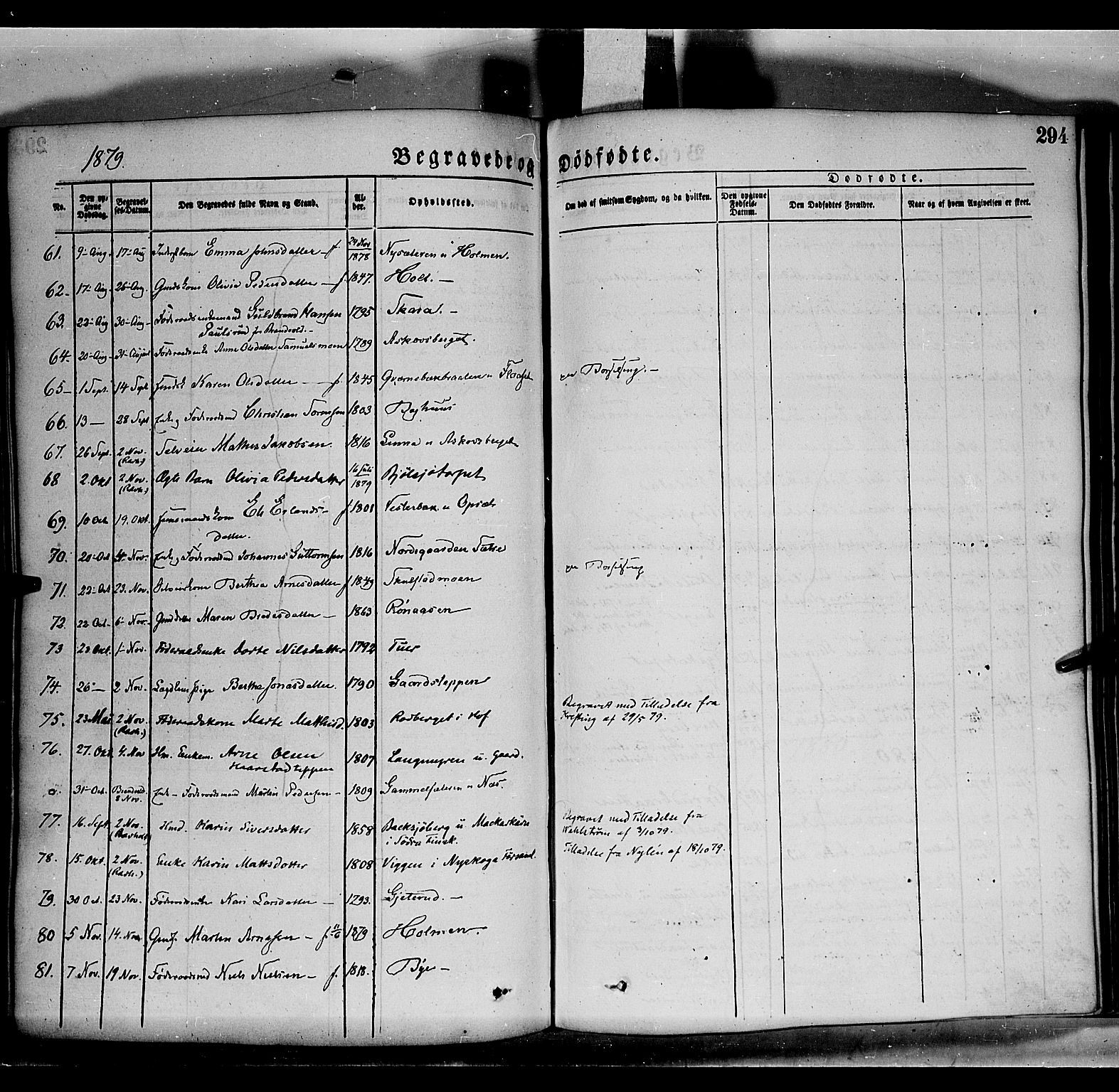Grue prestekontor, SAH/PREST-036/H/Ha/Haa/L0011: Parish register (official) no. 11, 1873-1880, p. 294
