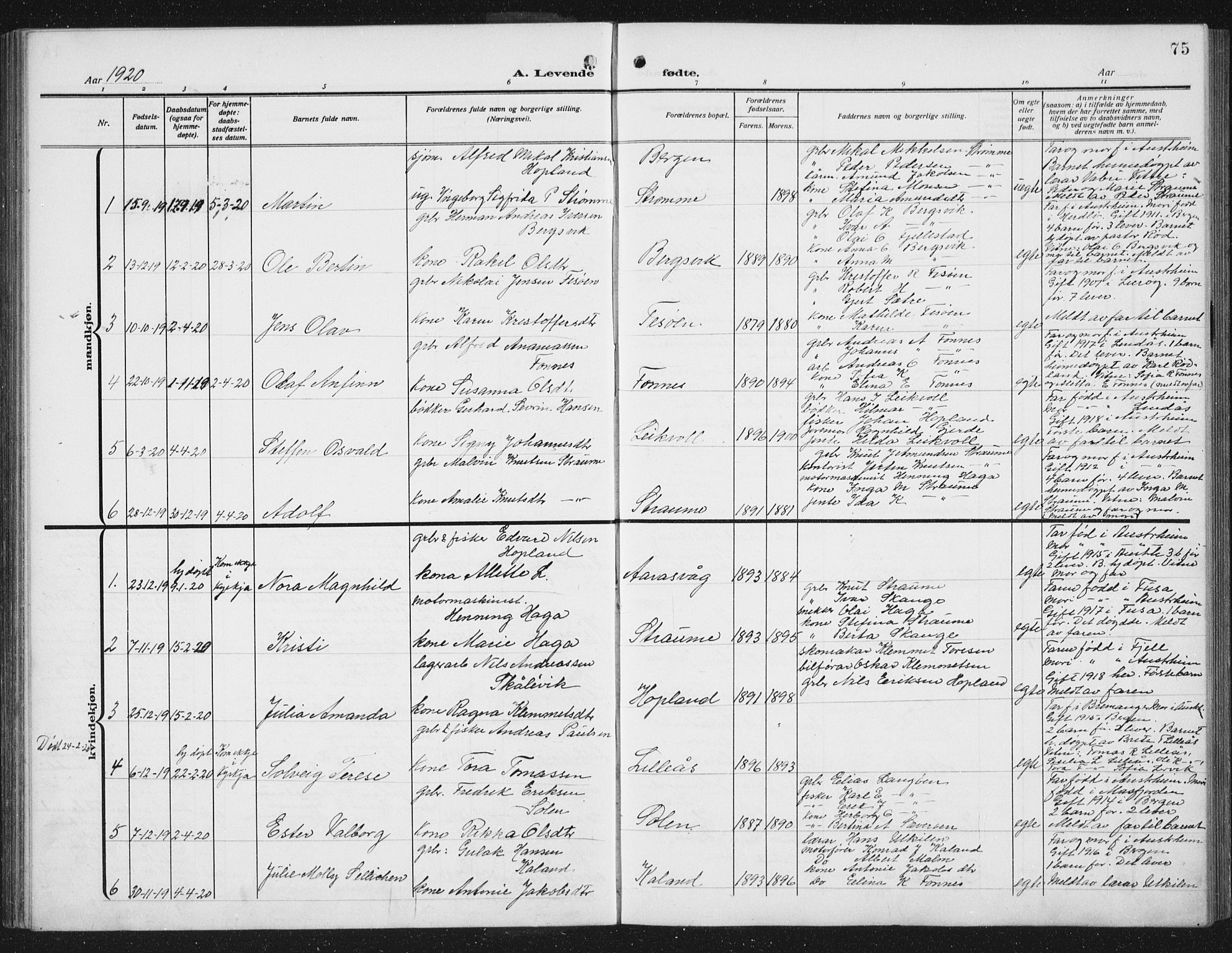 Lindås Sokneprestembete, AV/SAB-A-76701/H/Hab/Habc/L0005: Parish register (copy) no. C 5, 1910-1927, p. 75