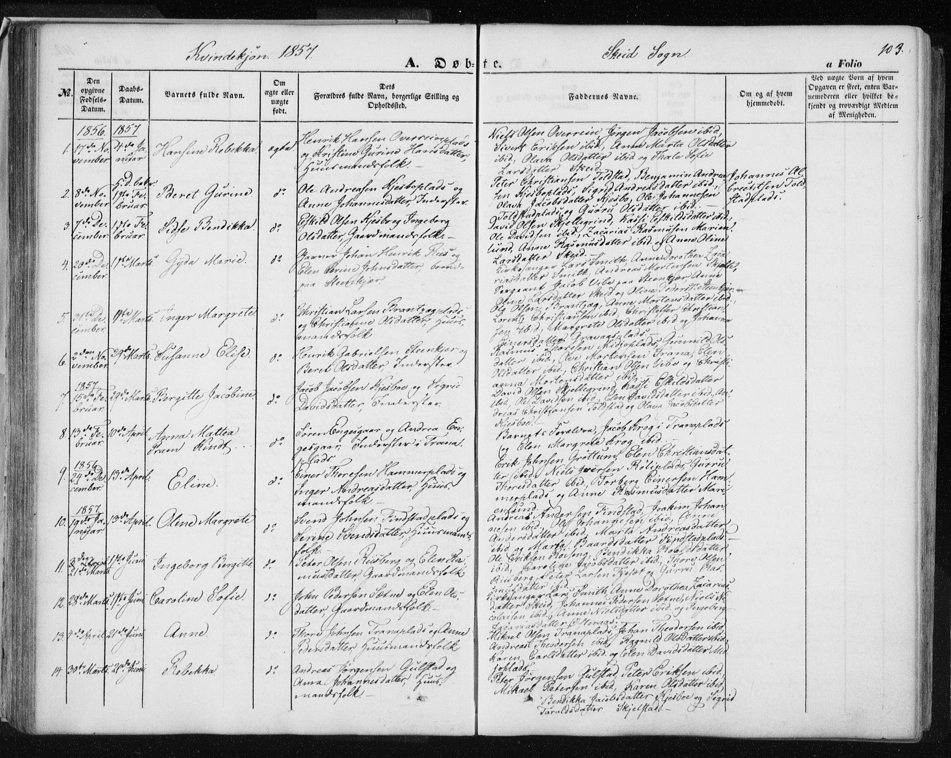 Ministerialprotokoller, klokkerbøker og fødselsregistre - Nord-Trøndelag, SAT/A-1458/735/L0342: Parish register (official) no. 735A07 /2, 1849-1862, p. 103