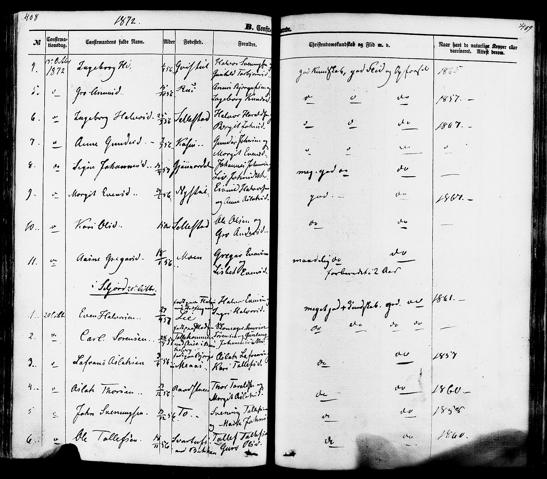 Seljord kirkebøker, SAKO/A-20/F/Fa/L0013: Parish register (official) no. I 13, 1866-1876, p. 408-409