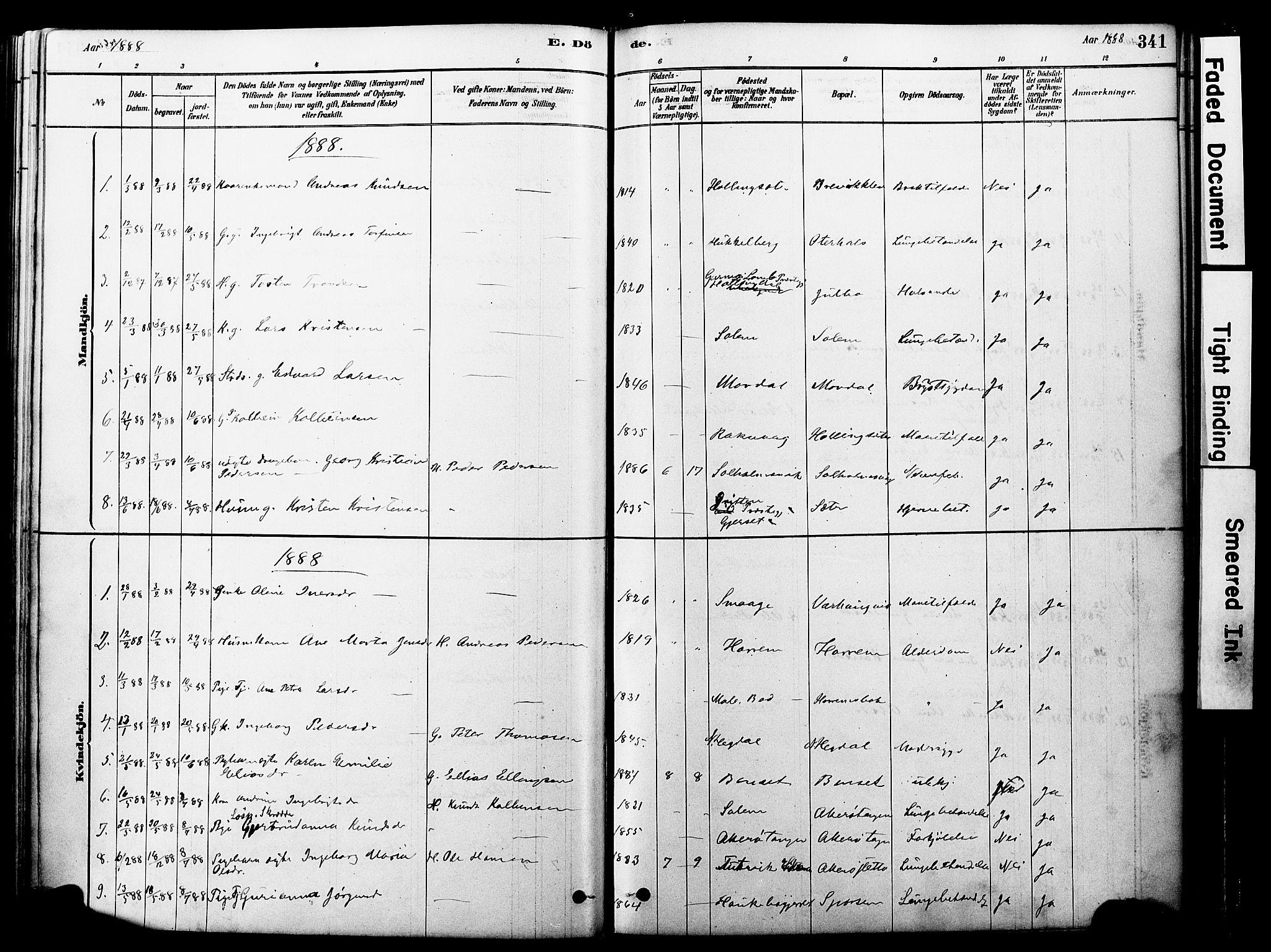 Ministerialprotokoller, klokkerbøker og fødselsregistre - Møre og Romsdal, AV/SAT-A-1454/560/L0721: Parish register (official) no. 560A05, 1878-1917, p. 341