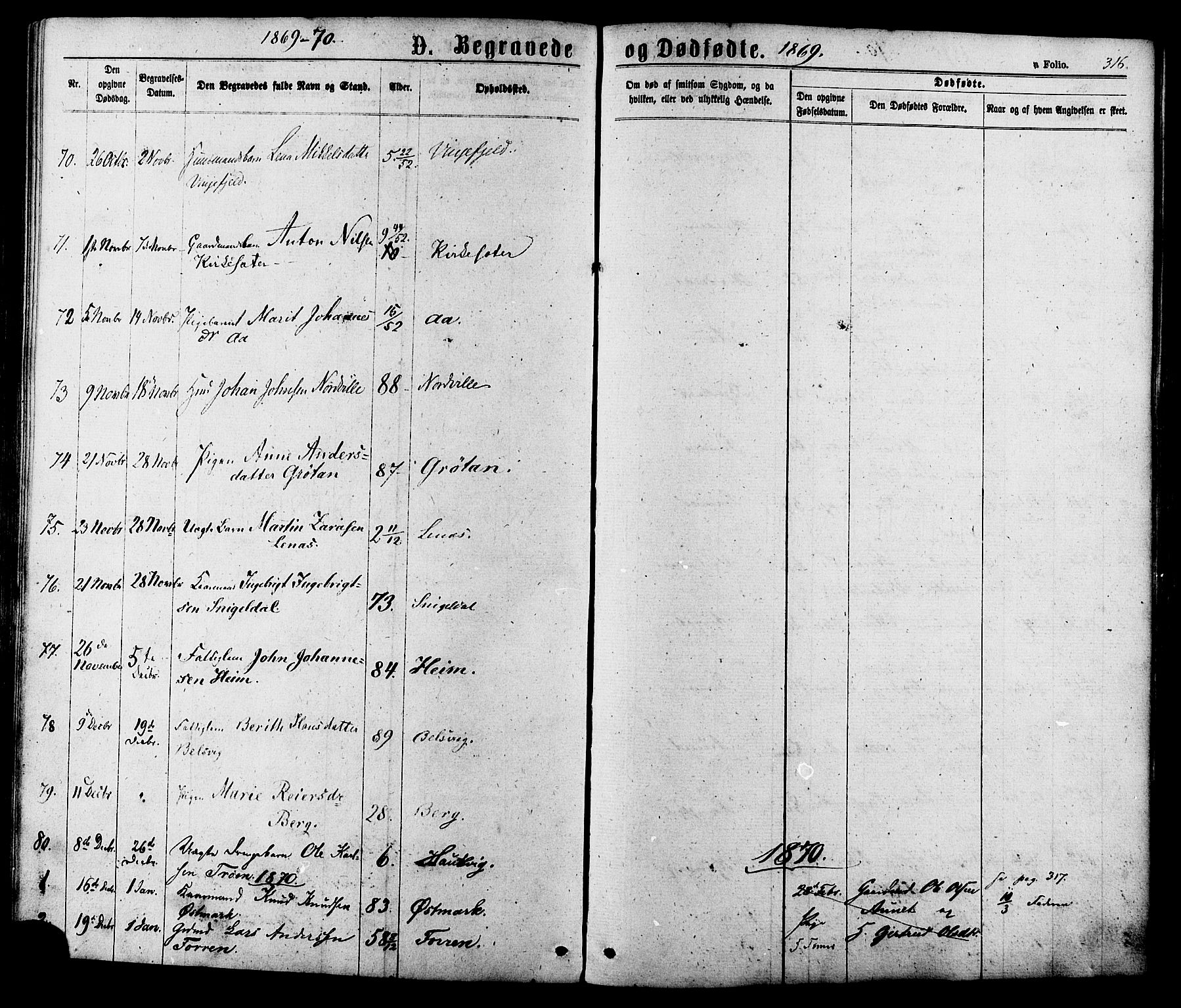 Ministerialprotokoller, klokkerbøker og fødselsregistre - Sør-Trøndelag, SAT/A-1456/630/L0495: Parish register (official) no. 630A08, 1868-1878, p. 316
