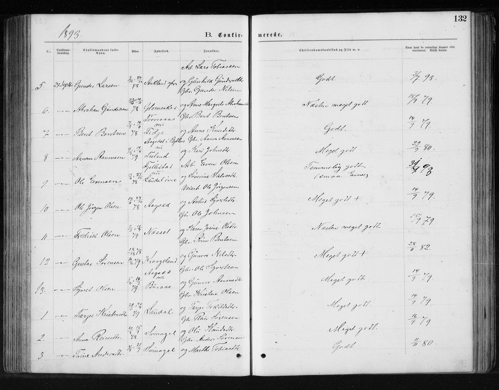 Holum sokneprestkontor, SAK/1111-0022/F/Fb/Fbb/L0003: Parish register (copy) no. B 3, 1875-1898, p. 132