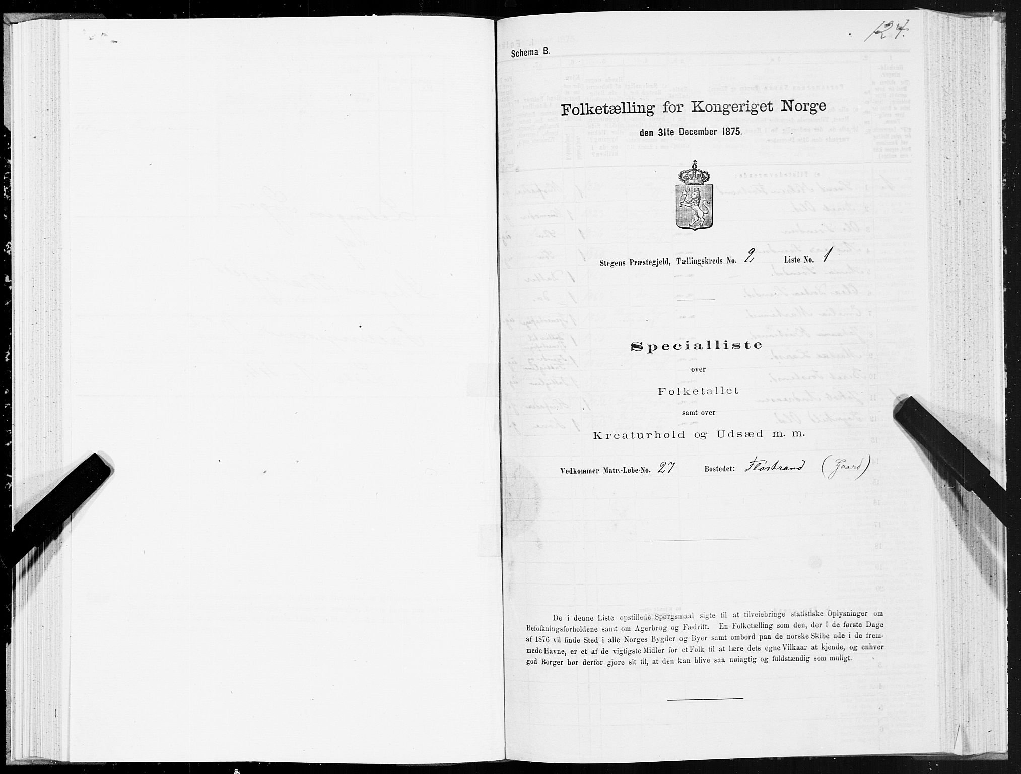 SAT, 1875 census for 1848P Steigen, 1875, p. 1124