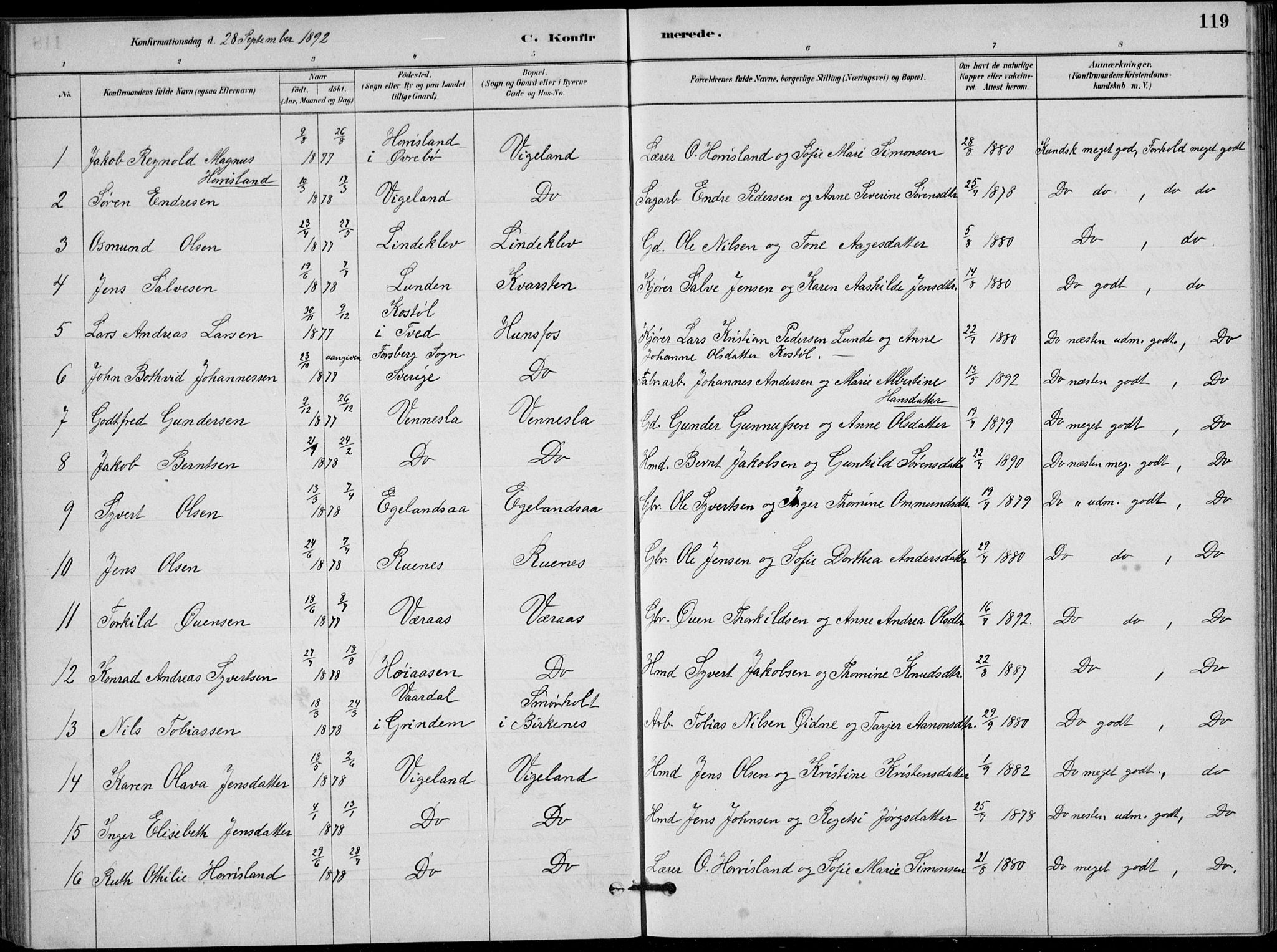 Vennesla sokneprestkontor, SAK/1111-0045/Fb/Fbb/L0003: Parish register (copy) no. B 3, 1879-1893, p. 119