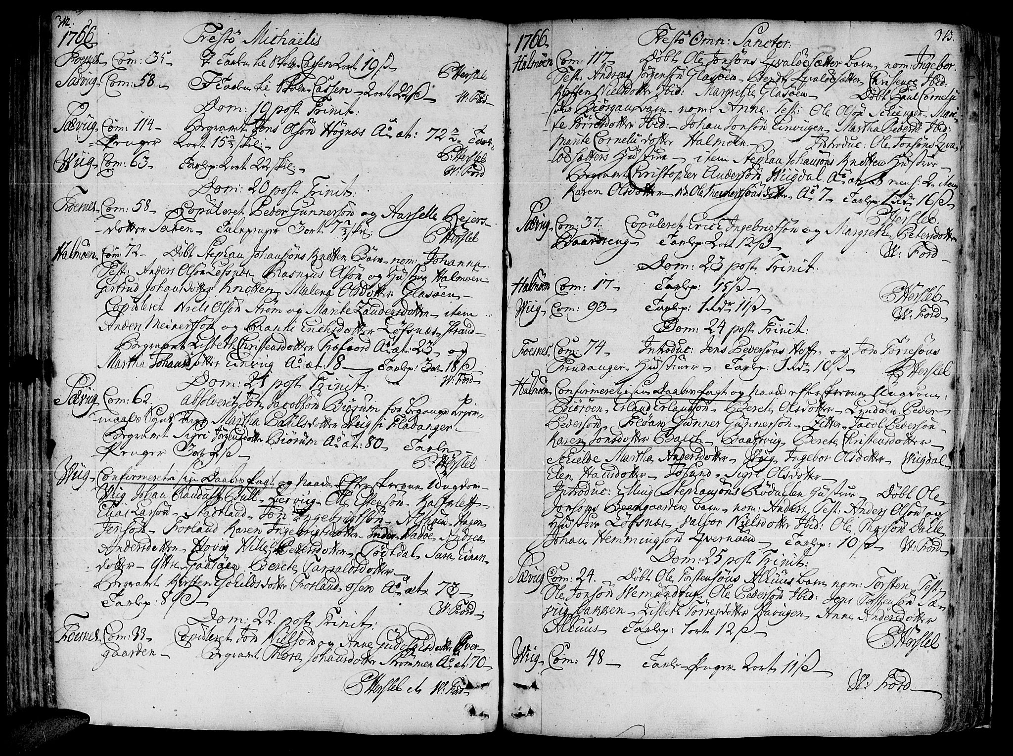 Ministerialprotokoller, klokkerbøker og fødselsregistre - Nord-Trøndelag, SAT/A-1458/773/L0607: Parish register (official) no. 773A01, 1751-1783, p. 312-313