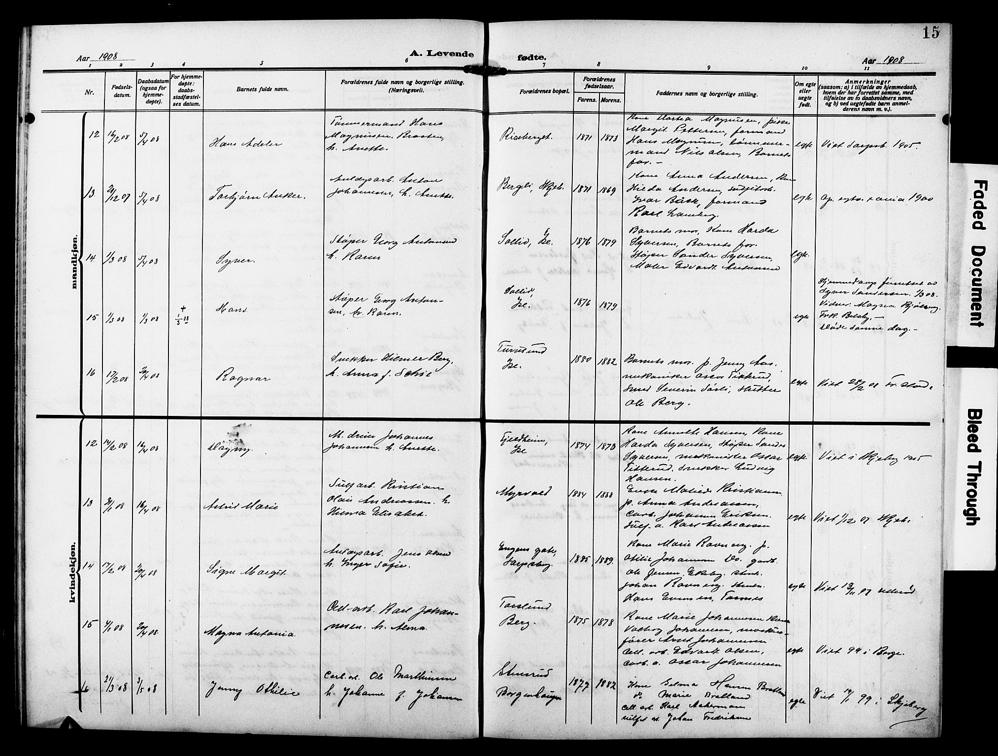 Skjeberg prestekontor Kirkebøker, AV/SAO-A-10923/G/Gd/L0001: Parish register (copy) no. IV 1, 1907-1917, p. 15