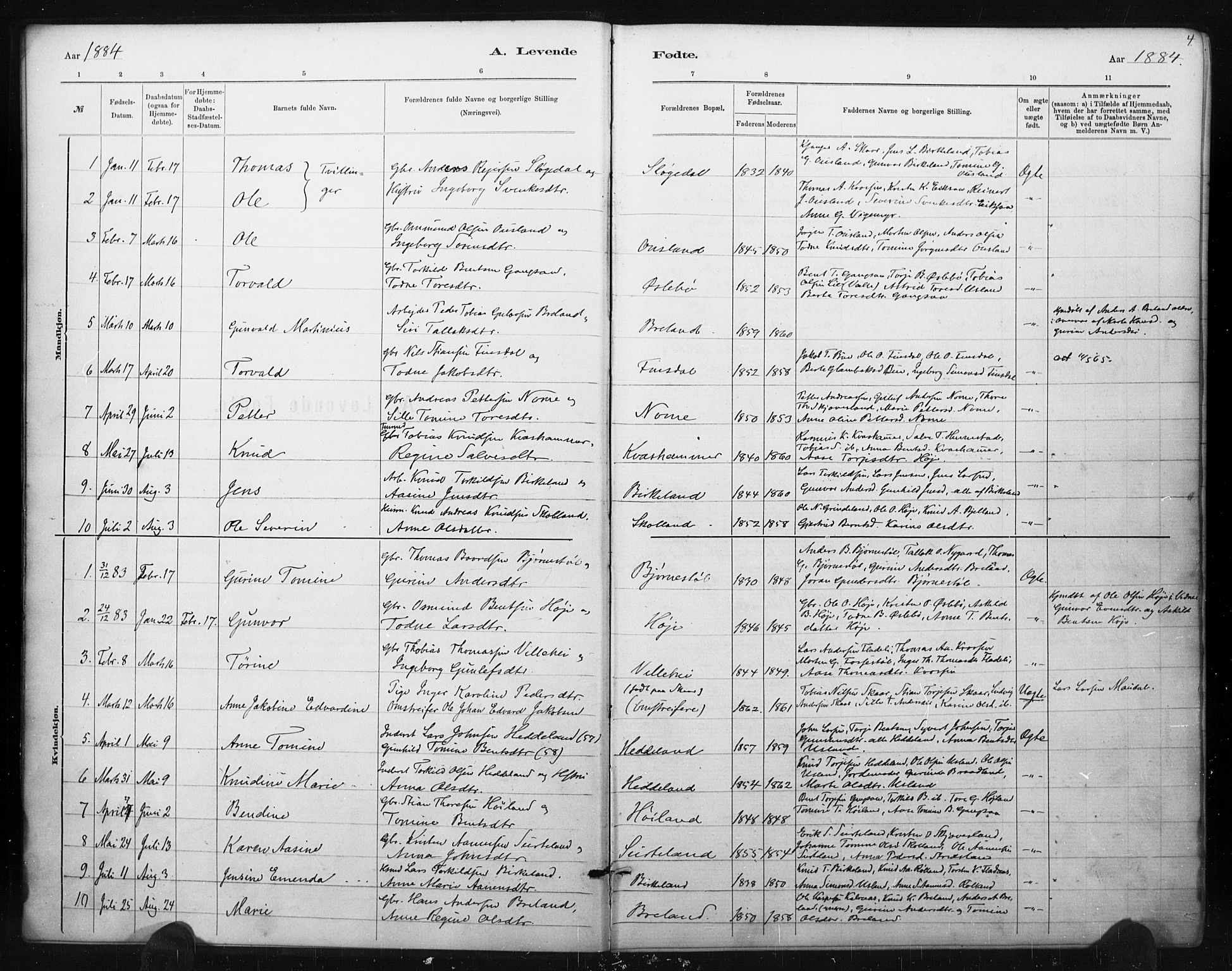 Holum sokneprestkontor, AV/SAK-1111-0022/F/Fa/Fac/L0004: Parish register (official) no. A 4, 1884-1907, p. 4