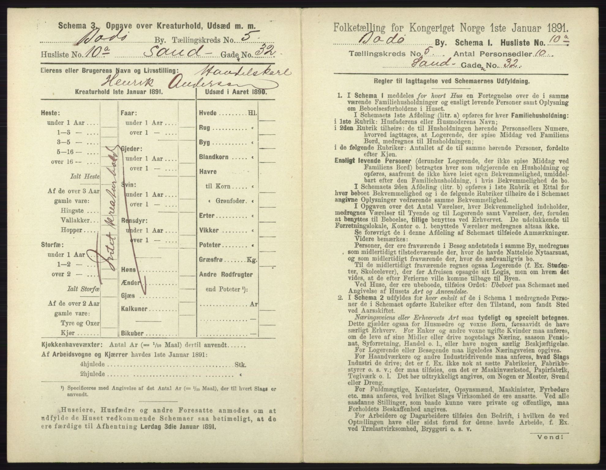 RA, 1891 census for 1804 Bodø, 1891, p. 3821