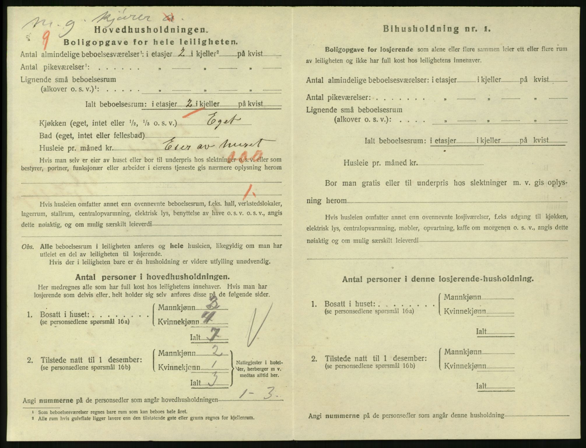 SAKO, 1920 census for Larvik, 1920, p. 3699