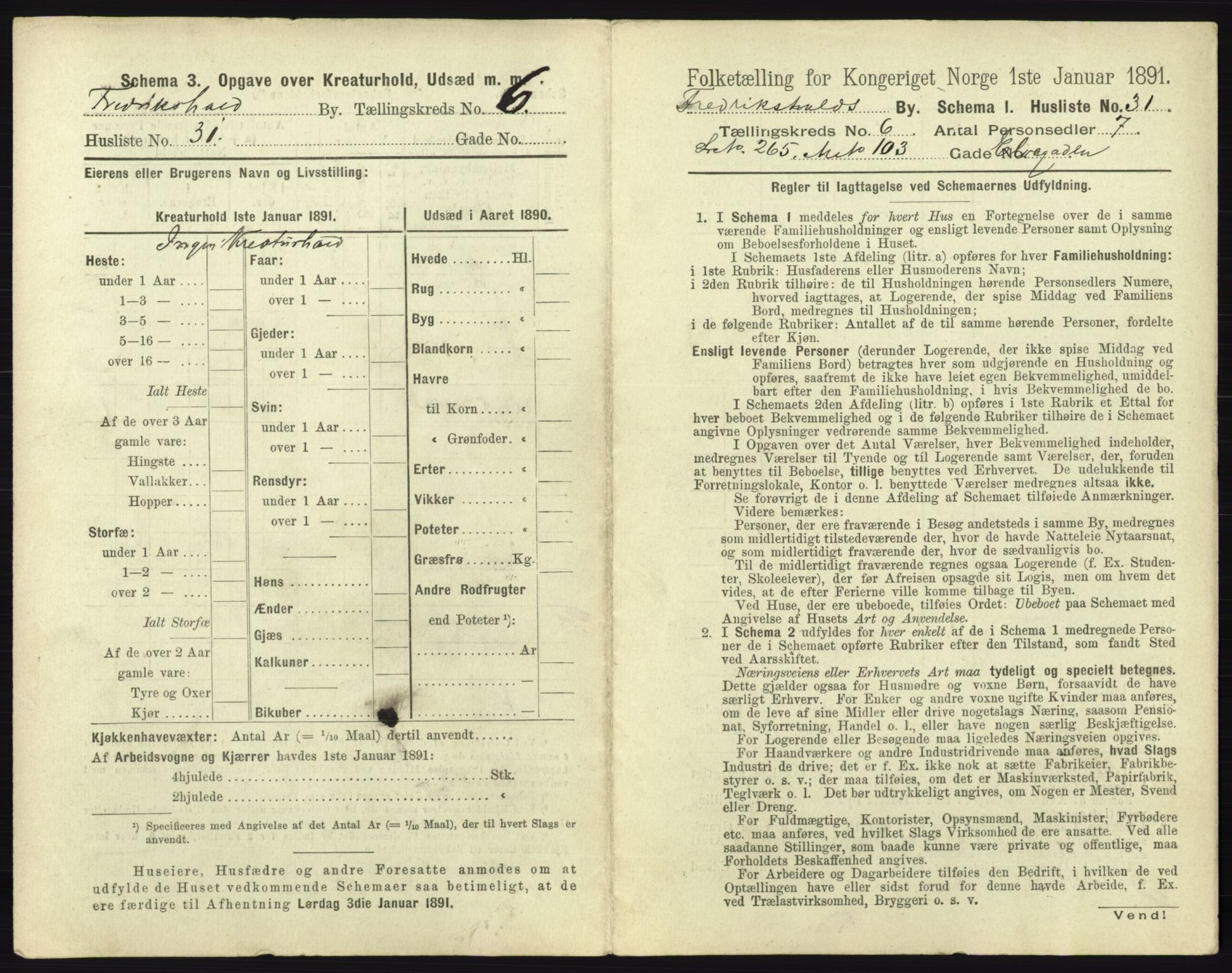 RA, 1891 census for 0101 Fredrikshald, 1891, p. 642