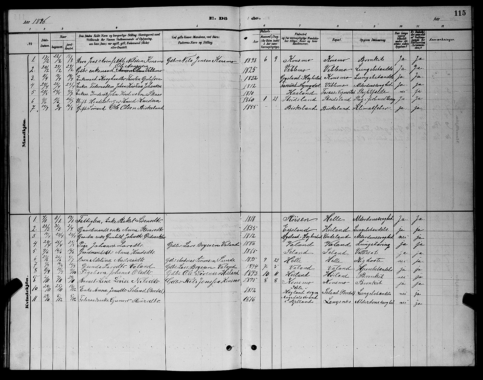 Nord-Audnedal sokneprestkontor, AV/SAK-1111-0032/F/Fb/Fba/L0003: Parish register (copy) no. B 3, 1881-1900, p. 115