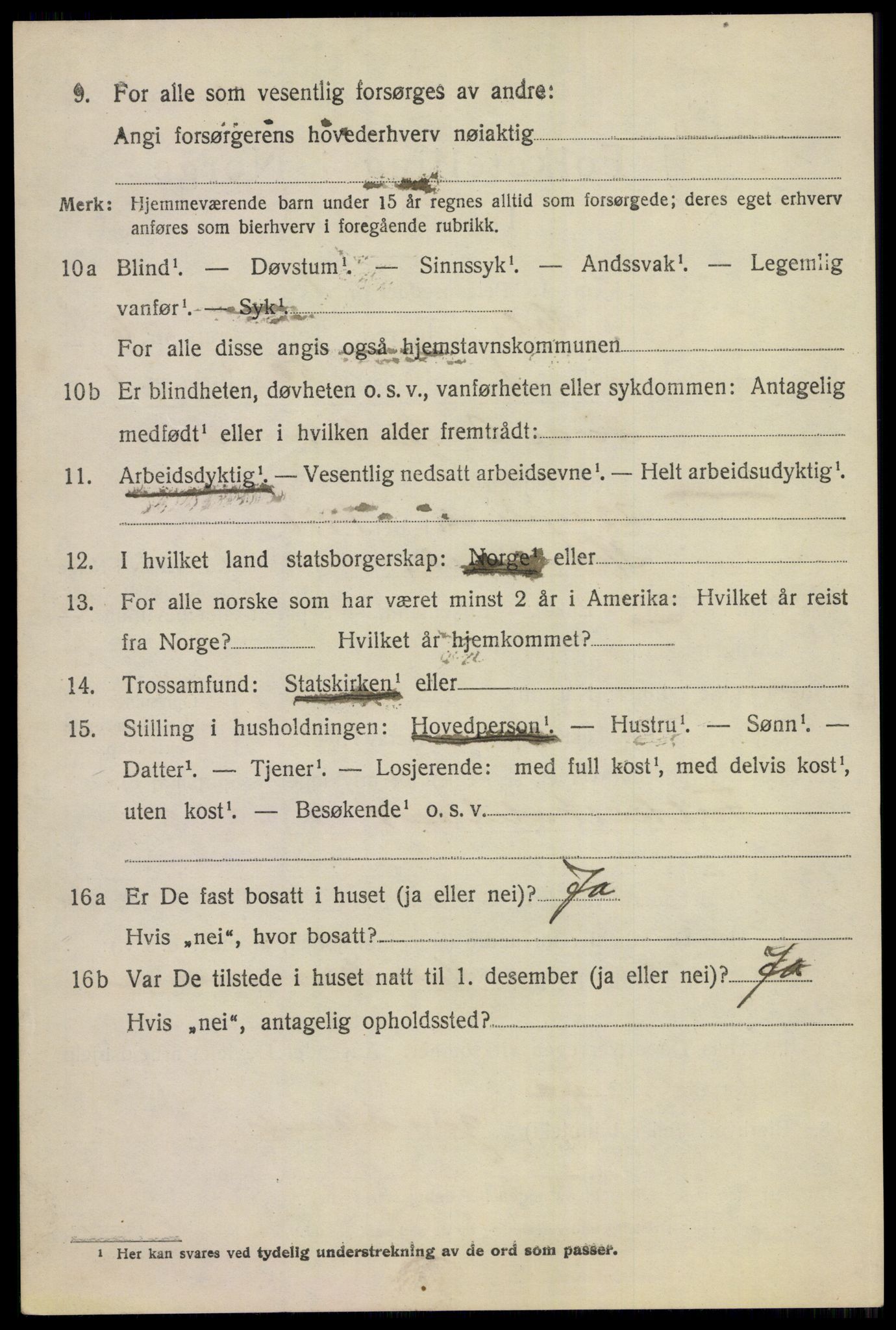 SAKO, 1920 census for Hol (Buskerud), 1920, p. 2948