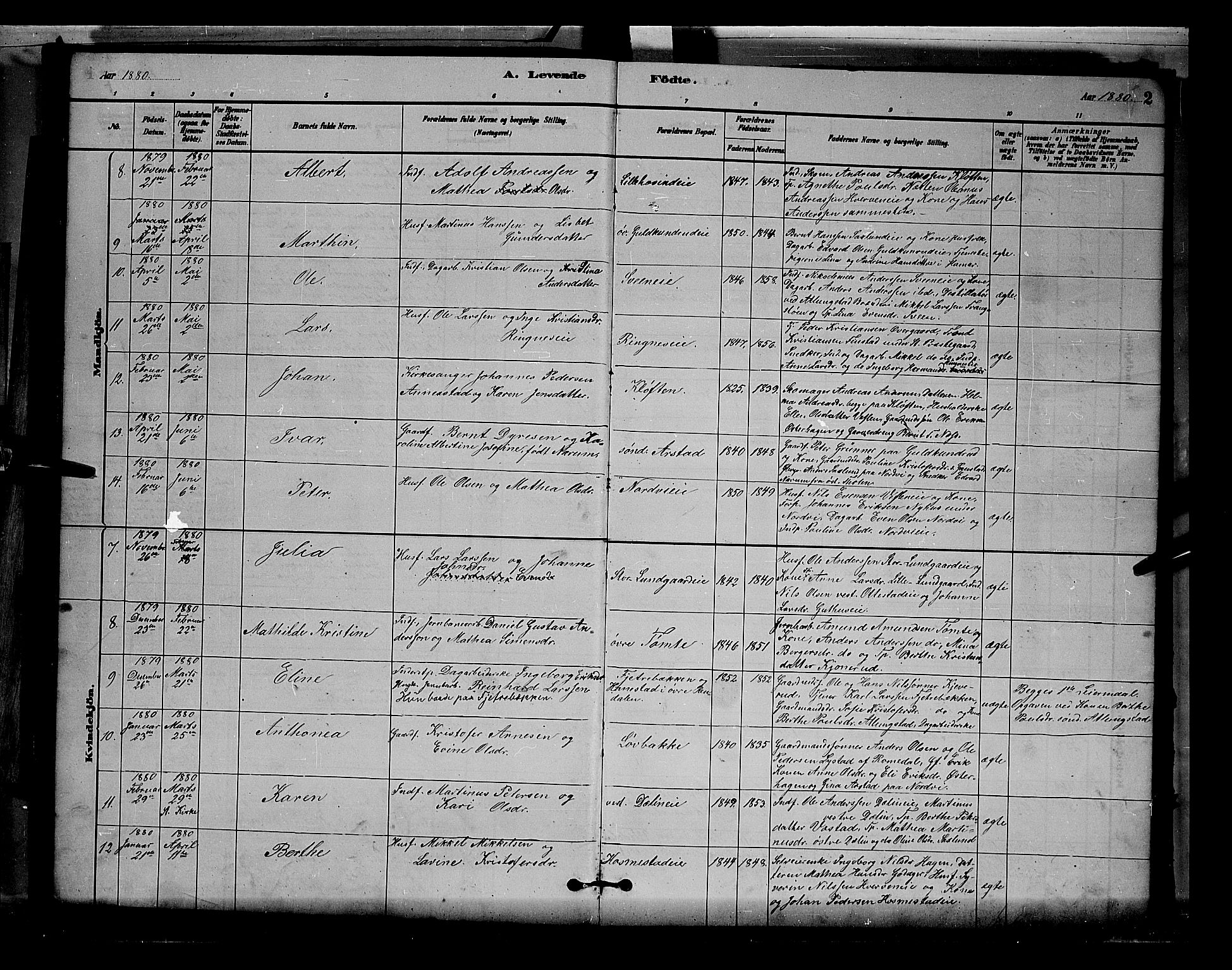 Stange prestekontor, AV/SAH-PREST-002/L/L0007: Parish register (copy) no. 7, 1880-1893, p. 2