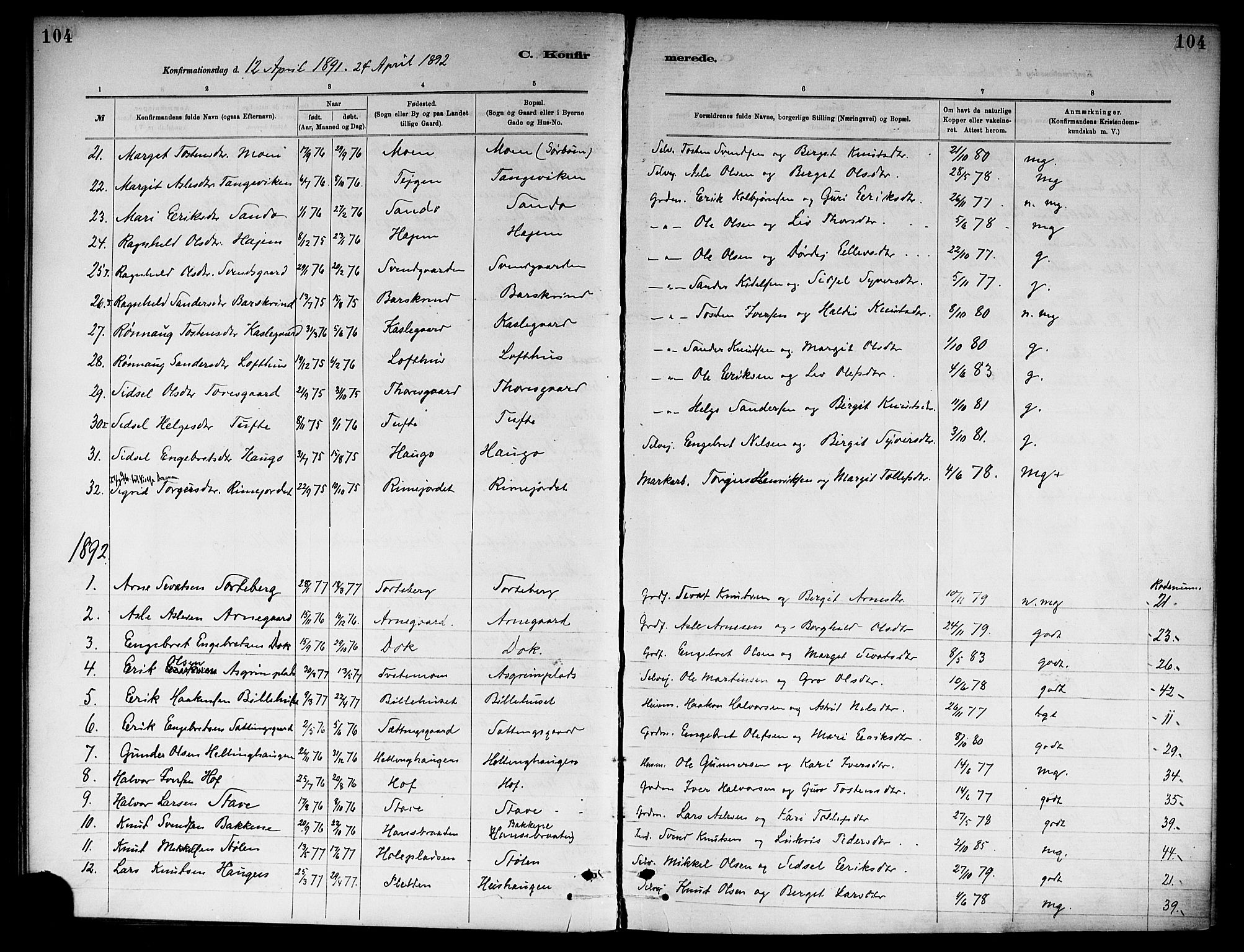 Ål kirkebøker, SAKO/A-249/F/Fa/L0008: Parish register (official) no. I 8, 1882-1896, p. 104