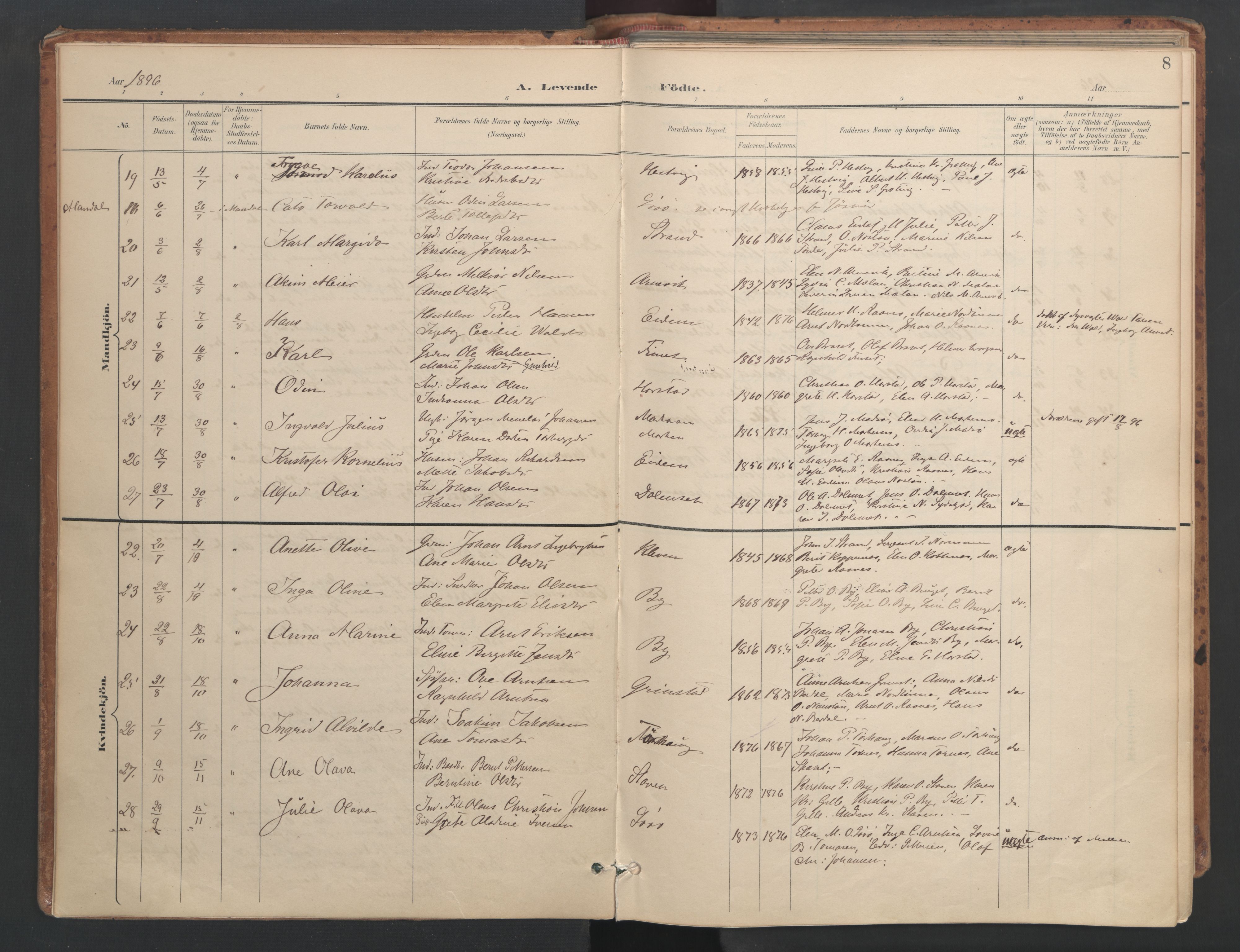 Ministerialprotokoller, klokkerbøker og fødselsregistre - Sør-Trøndelag, SAT/A-1456/655/L0681: Parish register (official) no. 655A10, 1895-1907, p. 8