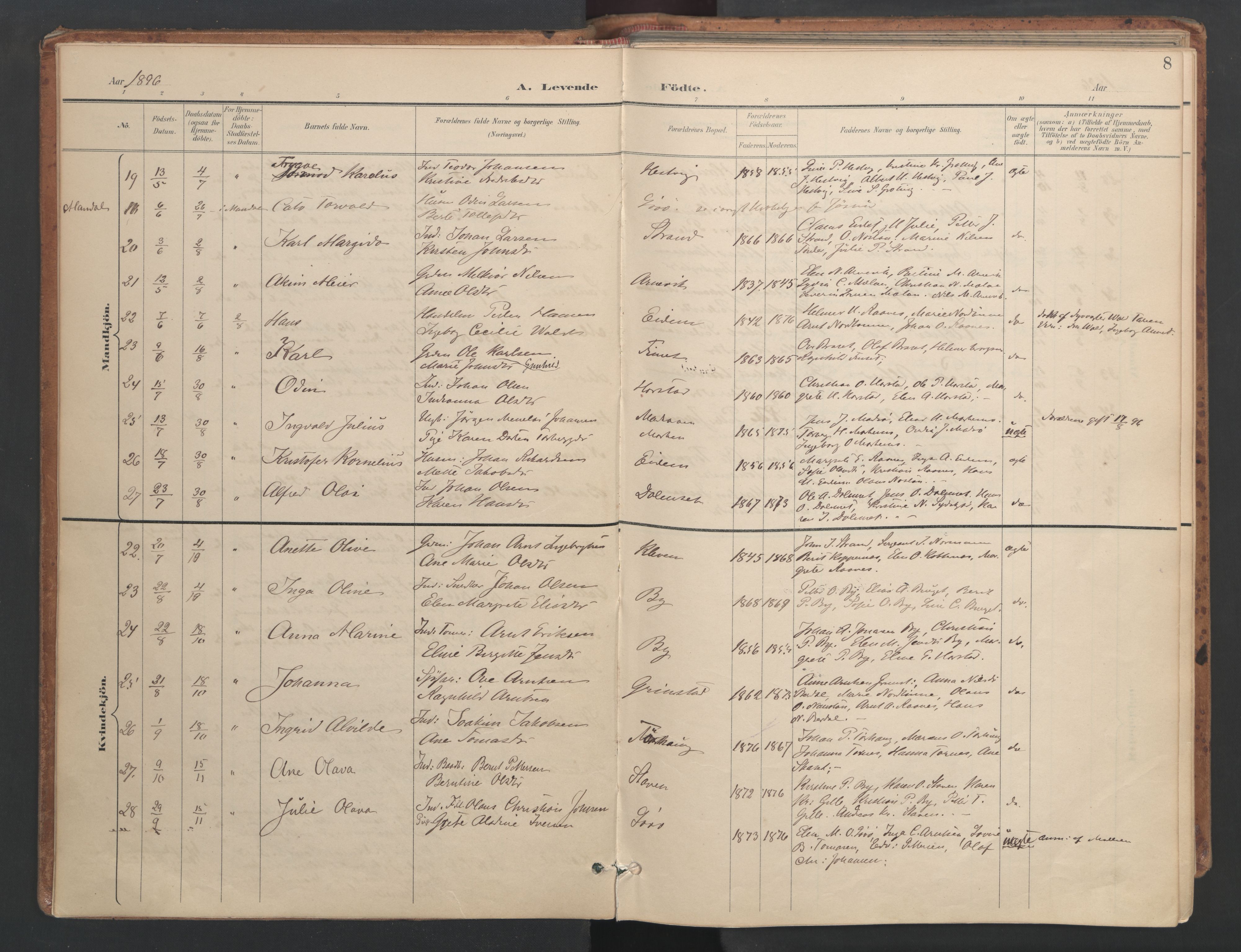 Ministerialprotokoller, klokkerbøker og fødselsregistre - Sør-Trøndelag, AV/SAT-A-1456/655/L0681: Parish register (official) no. 655A10, 1895-1907, p. 8