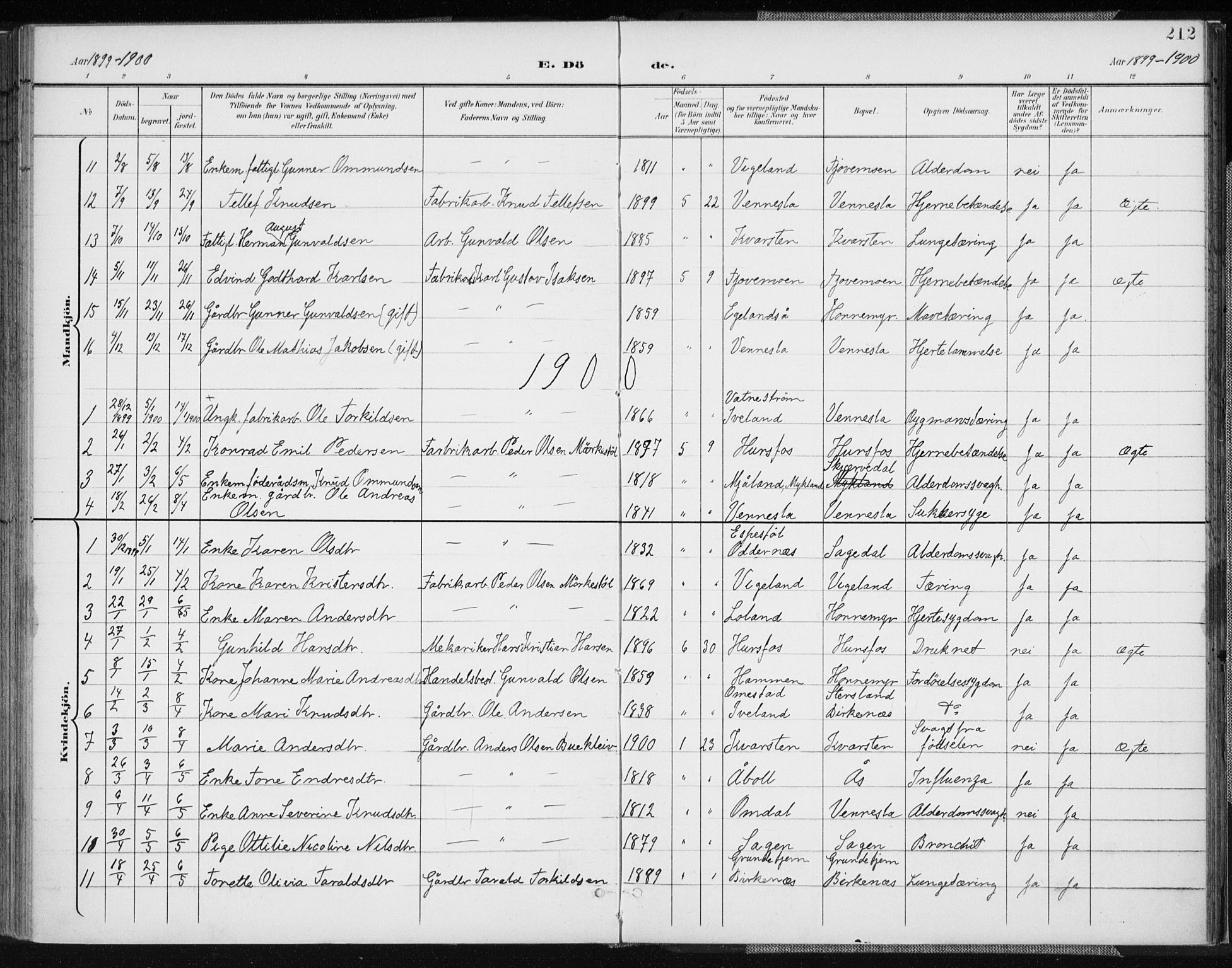 Vennesla sokneprestkontor, AV/SAK-1111-0045/Fa/Fab/L0005: Parish register (official) no. A 5, 1897-1909, p. 212