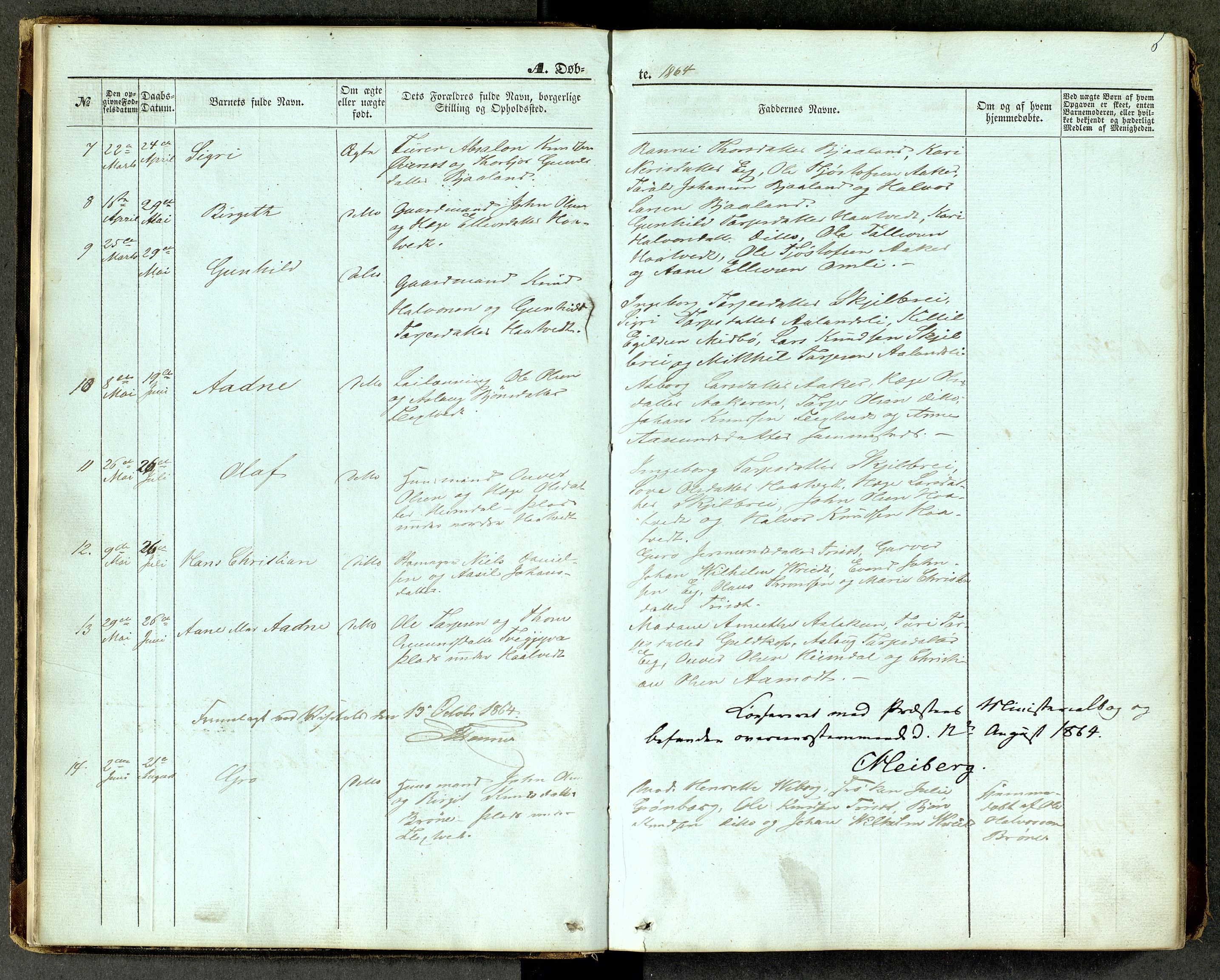 Lårdal kirkebøker, SAKO/A-284/G/Ga/L0002: Parish register (copy) no. I 2, 1861-1890, p. 6