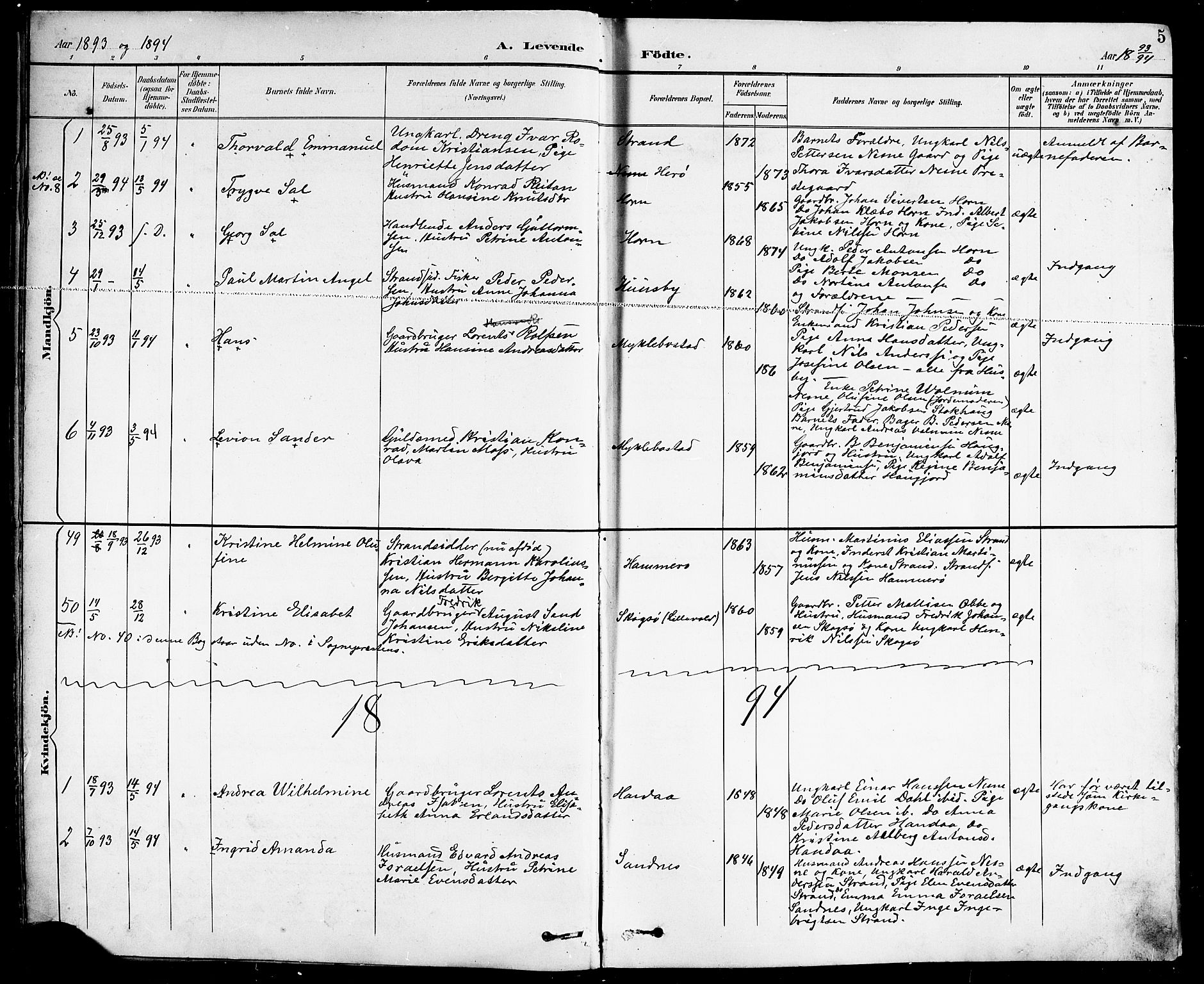 Ministerialprotokoller, klokkerbøker og fødselsregistre - Nordland, SAT/A-1459/838/L0559: Parish register (copy) no. 838C06, 1893-1910, p. 5