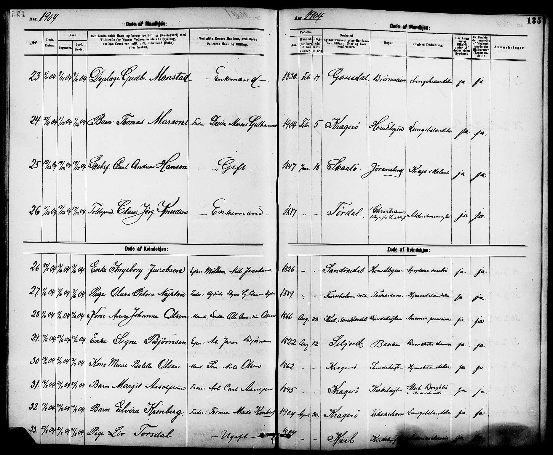 Kragerø kirkebøker, AV/SAKO-A-278/G/Ga/L0008: Parish register (copy) no. 8, 1881-1914, p. 135