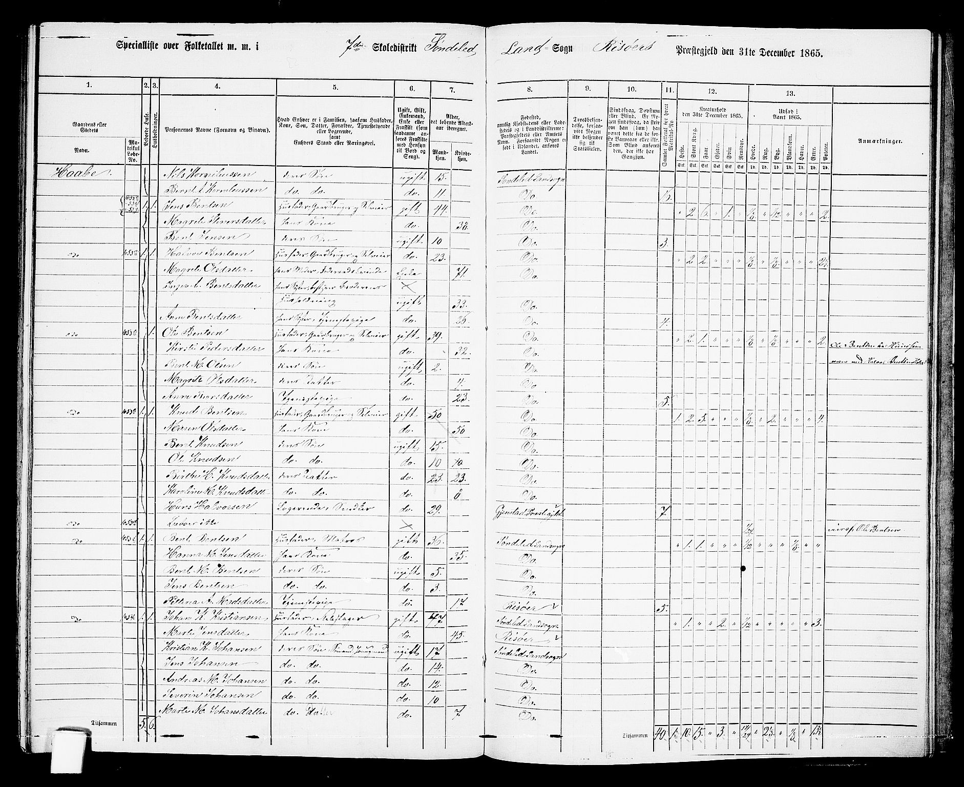 RA, 1865 census for Risør/Søndeled, 1865, p. 133