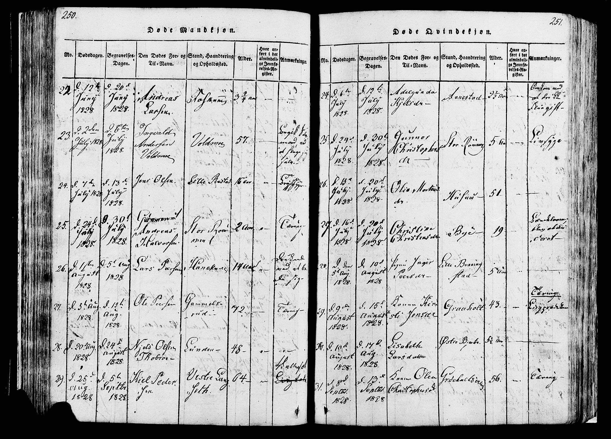 Løten prestekontor, SAH/PREST-022/K/Ka/L0005: Parish register (official) no. 5, 1814-1832, p. 250-251