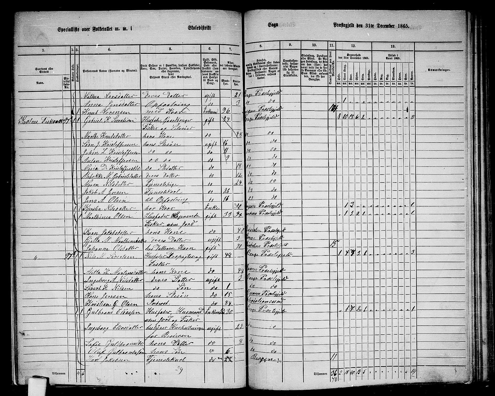 RA, 1865 census for Borge, 1865, p. 49