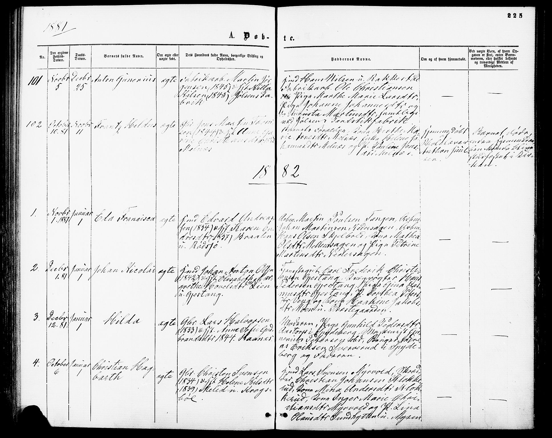 Enebakk prestekontor Kirkebøker, SAO/A-10171c/F/Fa/L0011: Parish register (official) no. I 11, 1862-1882, p. 225