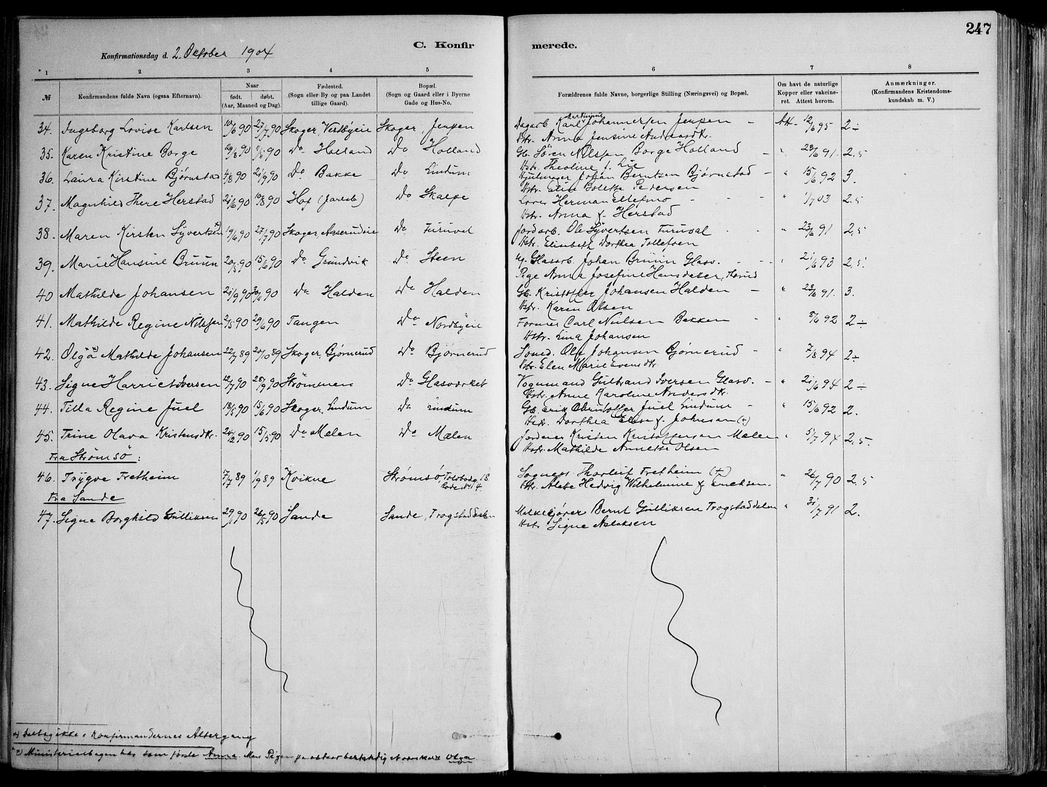 Skoger kirkebøker, AV/SAKO-A-59/F/Fa/L0006: Parish register (official) no. I 6, 1885-1910, p. 247