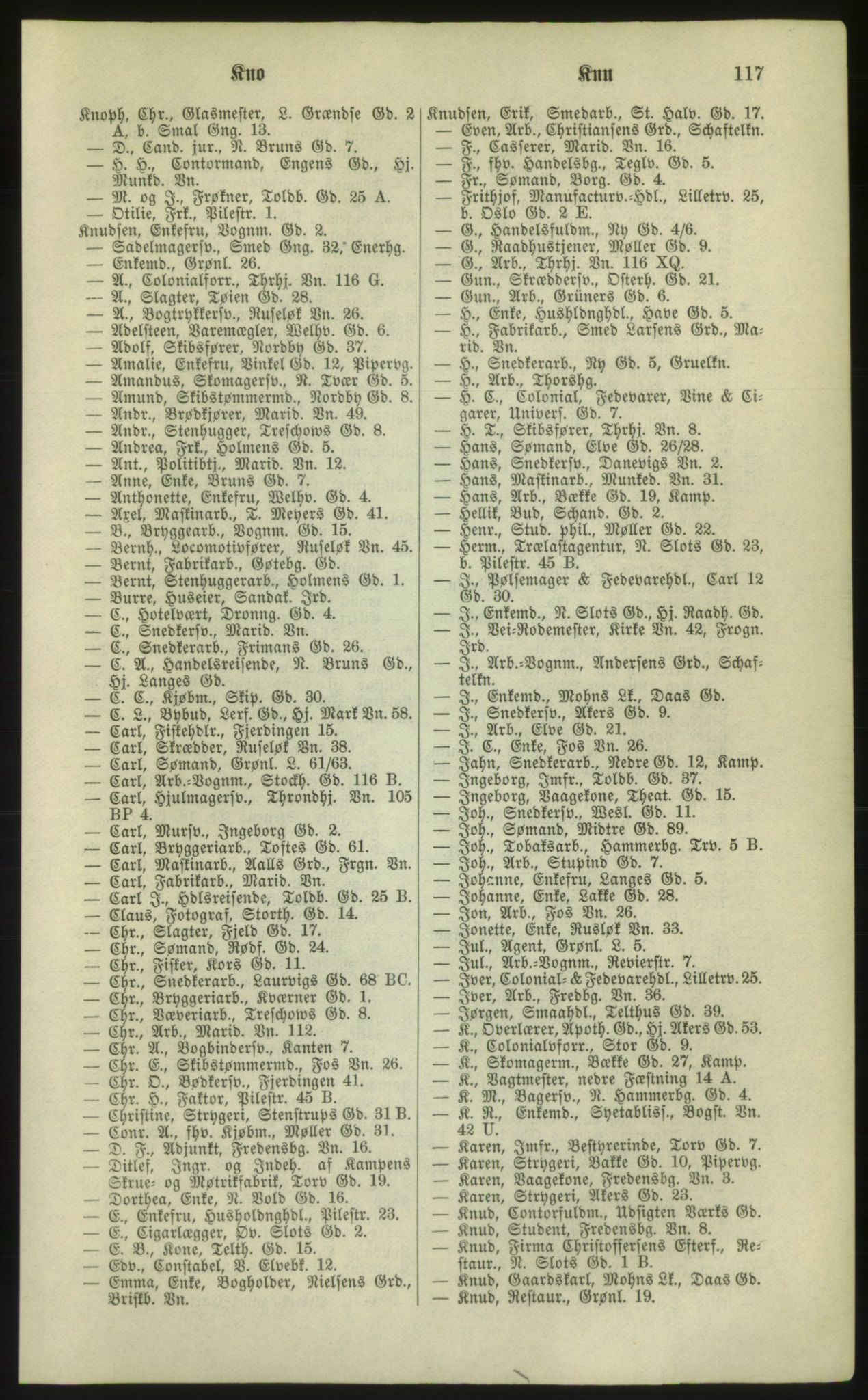 Kristiania/Oslo adressebok, PUBL/-, 1881, p. 117