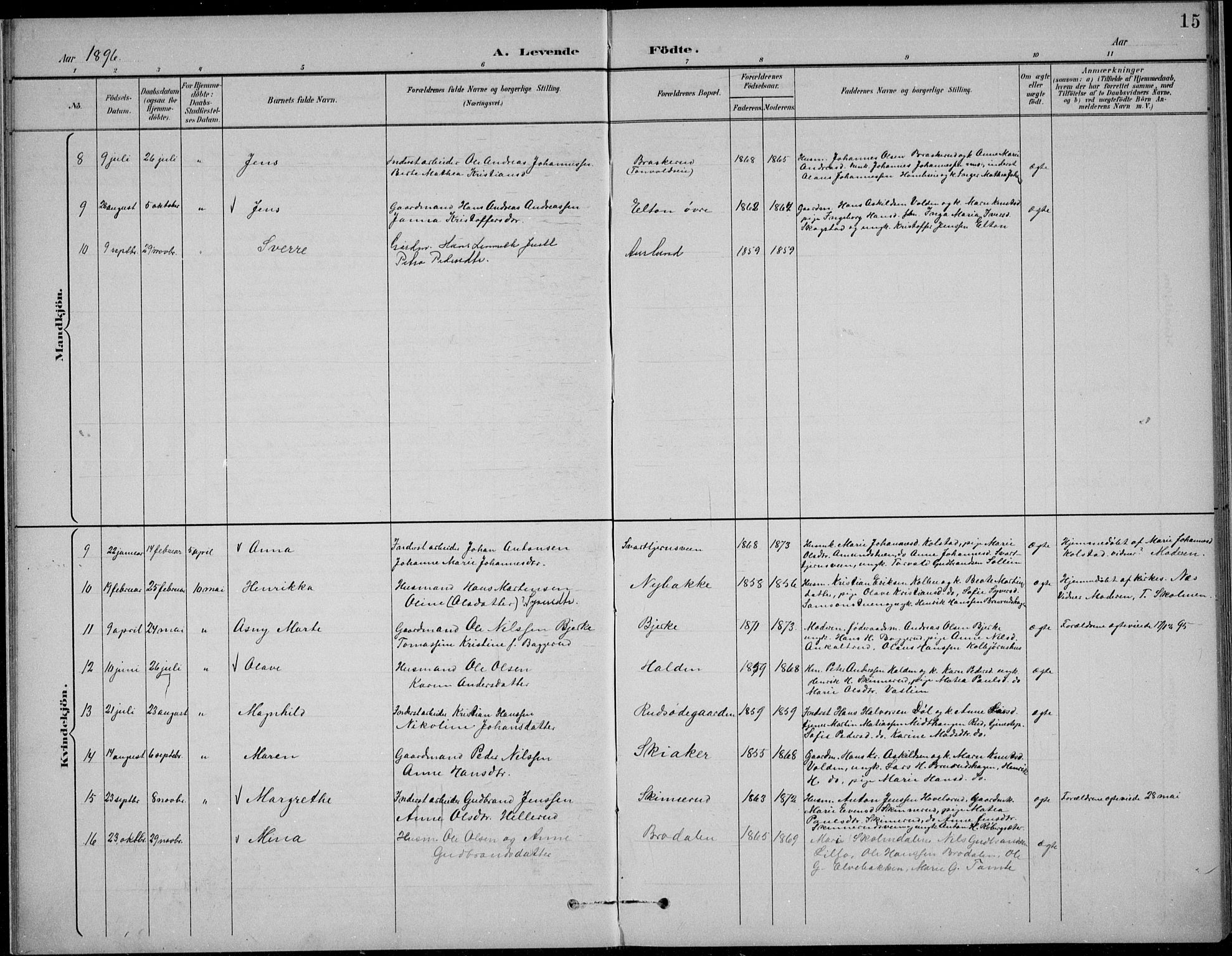 Nordre Land prestekontor, AV/SAH-PREST-124/H/Ha/Hab/L0014: Parish register (copy) no. 14, 1891-1907, p. 15