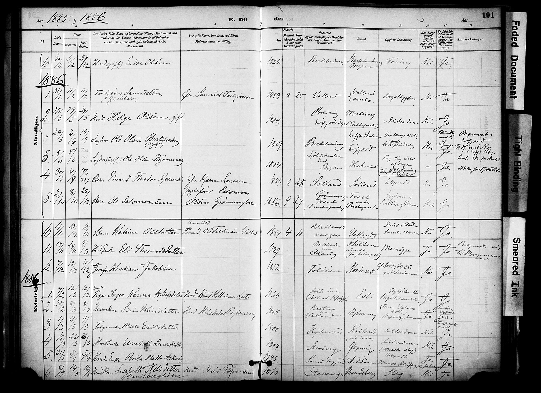 Jelsa sokneprestkontor, SAST/A-101842/01/IV: Parish register (official) no. A 10, 1884-1906, p. 191