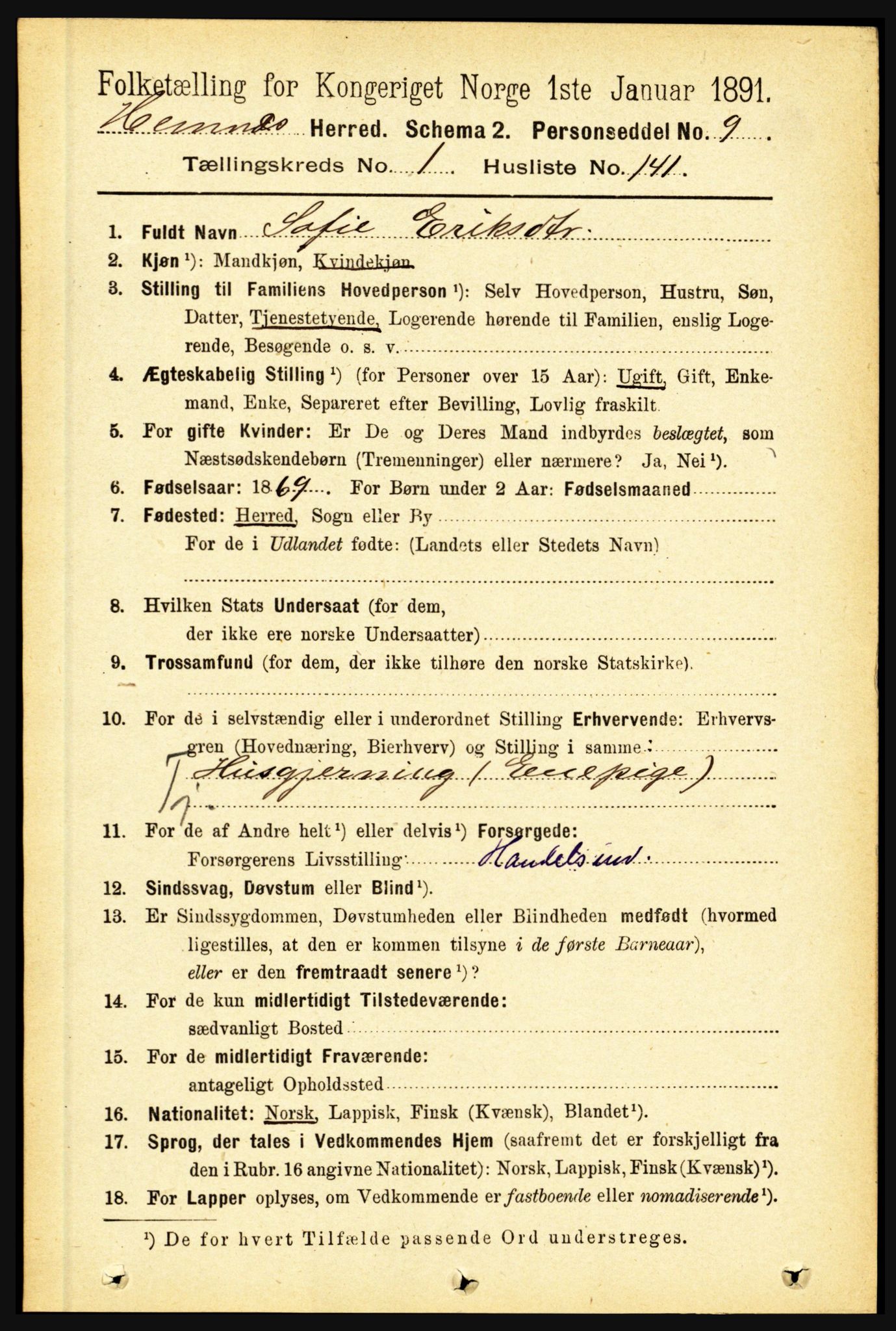 RA, 1891 census for 1832 Hemnes, 1891, p. 1046