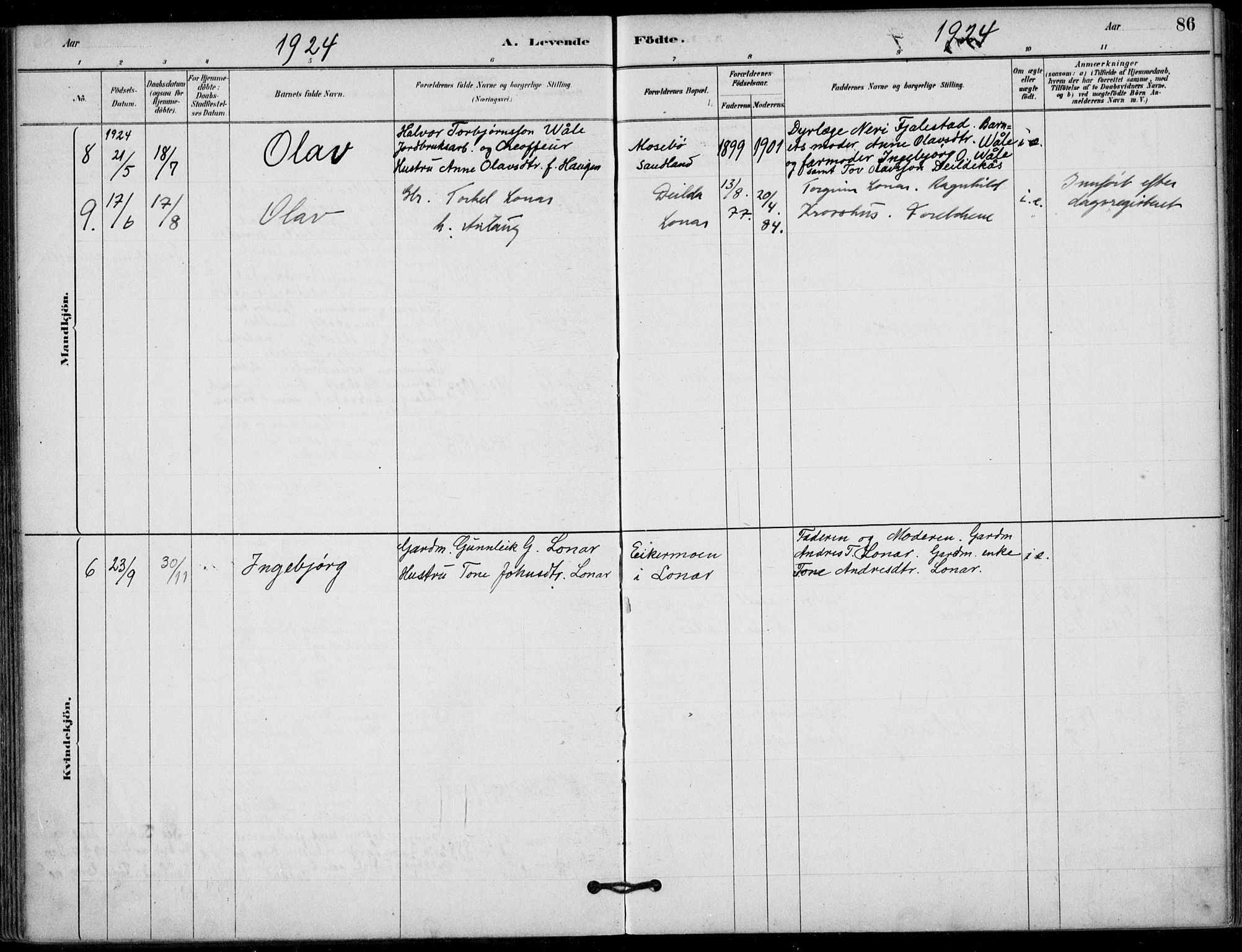 Hjartdal kirkebøker, AV/SAKO-A-270/F/Fb/L0002: Parish register (official) no. II 2, 1880-1932, p. 86