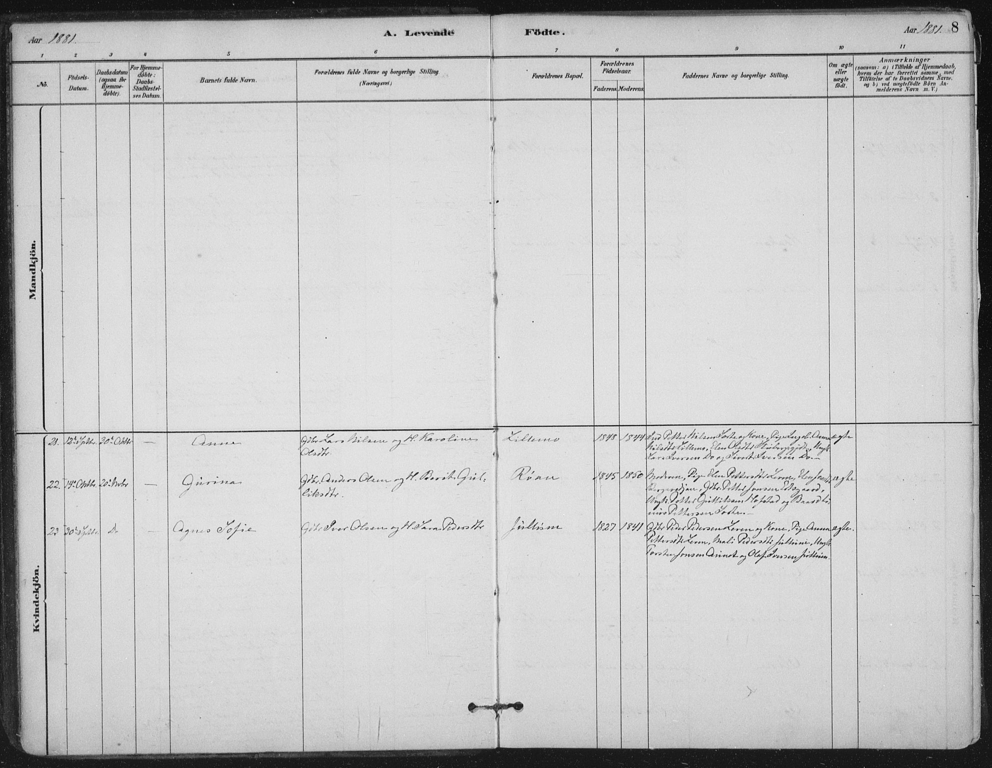 Ministerialprotokoller, klokkerbøker og fødselsregistre - Nord-Trøndelag, AV/SAT-A-1458/710/L0095: Parish register (official) no. 710A01, 1880-1914, p. 8