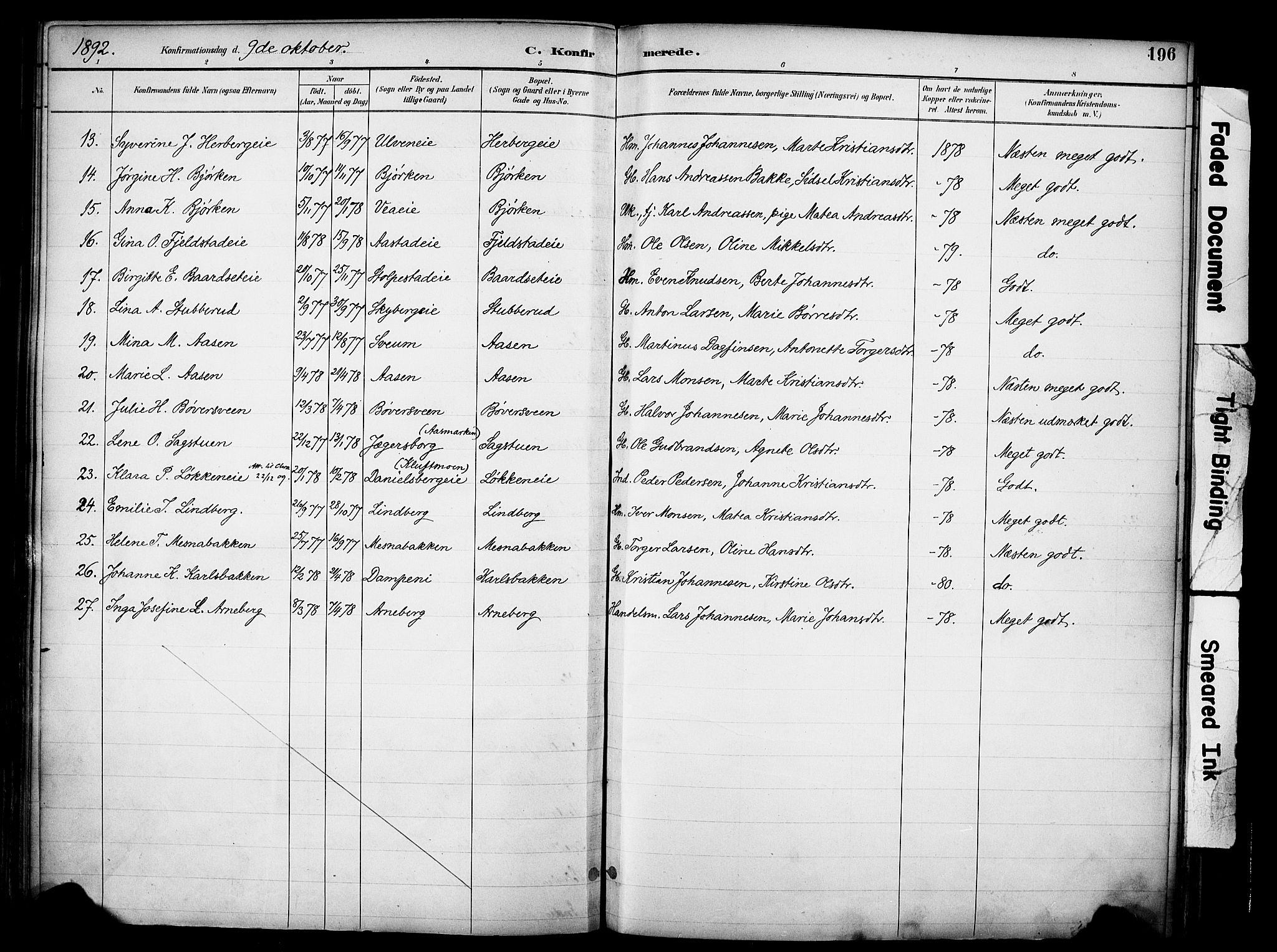 Ringsaker prestekontor, AV/SAH-PREST-014/K/Ka/L0017: Parish register (official) no. 17, 1891-1902, p. 196