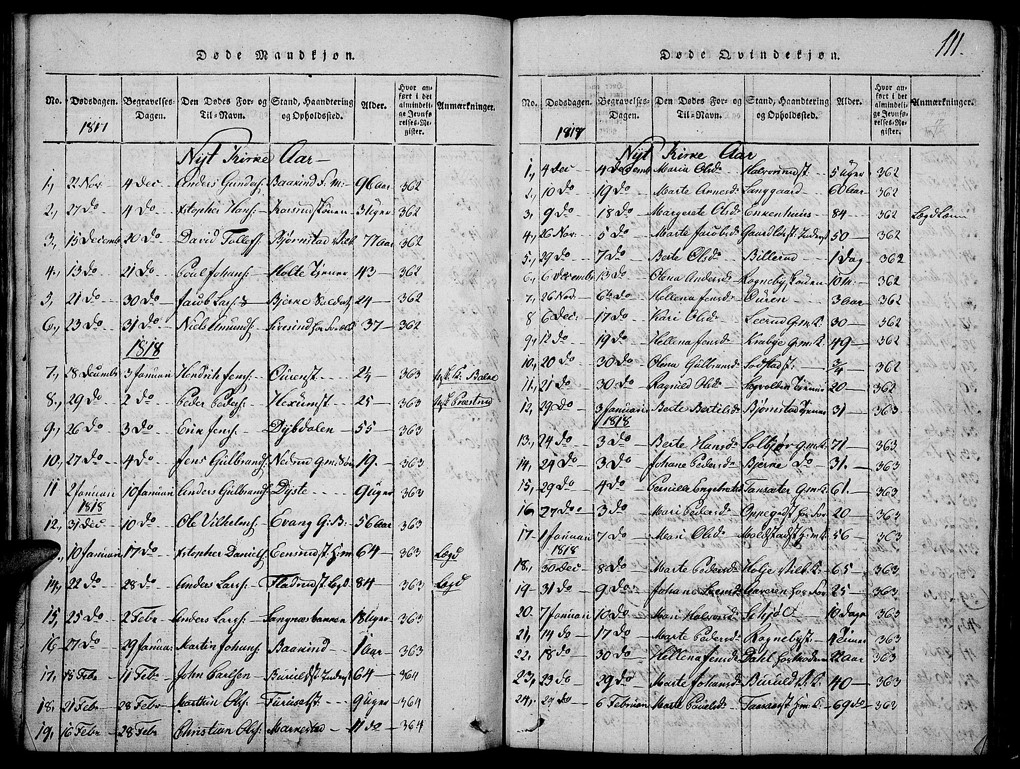 Toten prestekontor, SAH/PREST-102/H/Ha/Haa/L0009: Parish register (official) no. 9, 1814-1820, p. 111