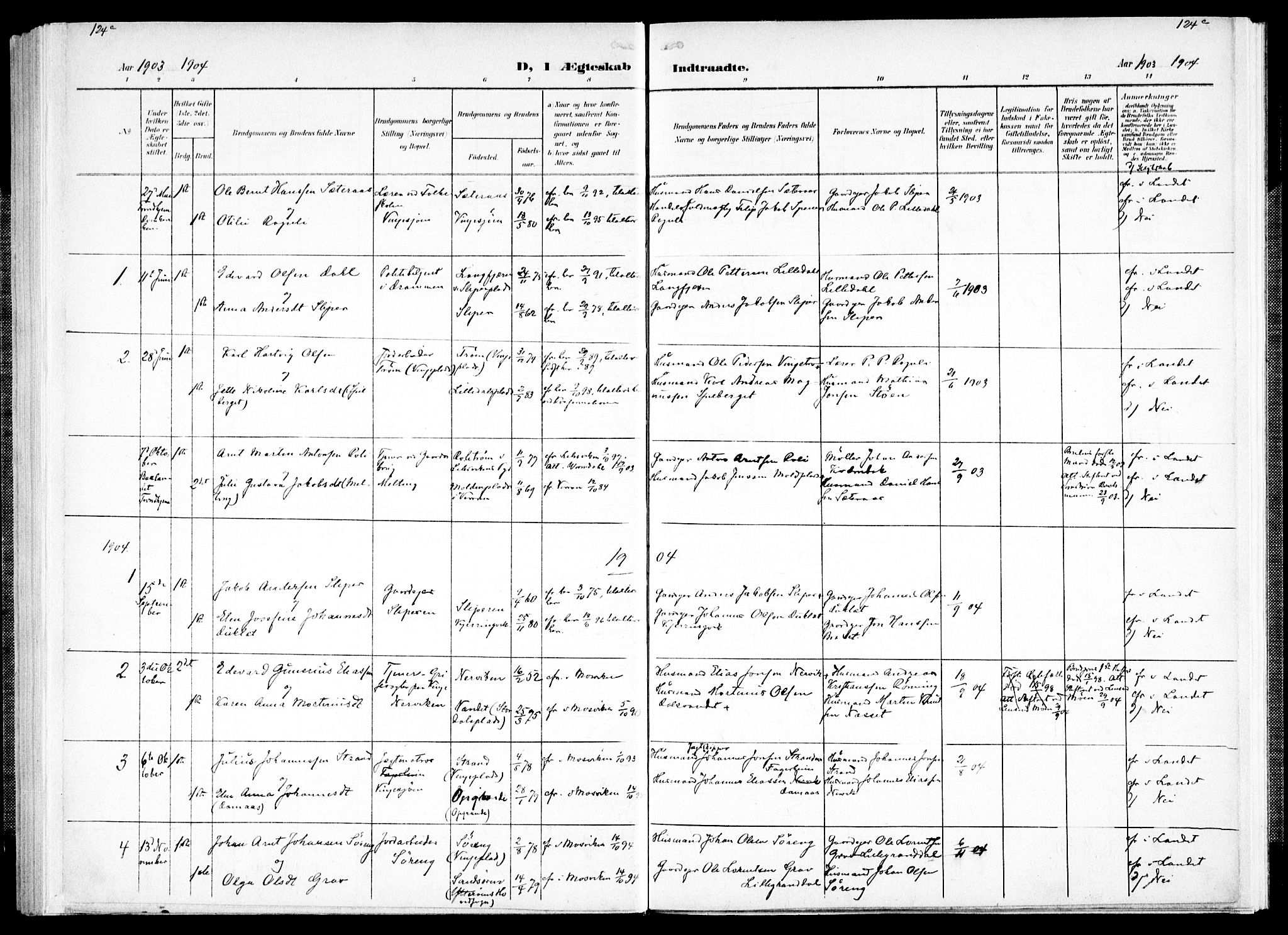 Ministerialprotokoller, klokkerbøker og fødselsregistre - Nord-Trøndelag, SAT/A-1458/733/L0325: Parish register (official) no. 733A04, 1884-1908, p. 124c