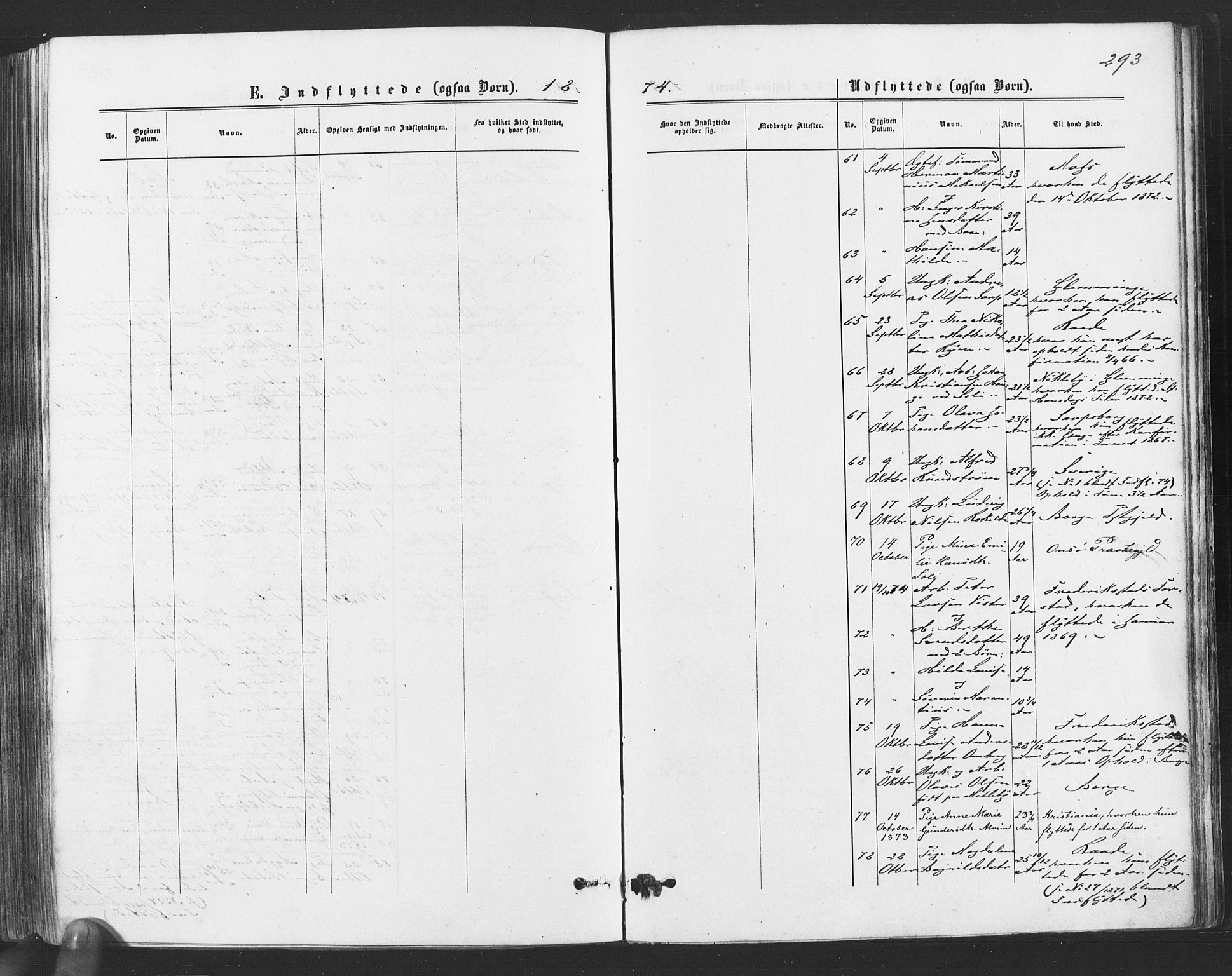 Tune prestekontor Kirkebøker, SAO/A-2007/F/Fa/L0016: Parish register (official) no. 16, 1874-1877, p. 293