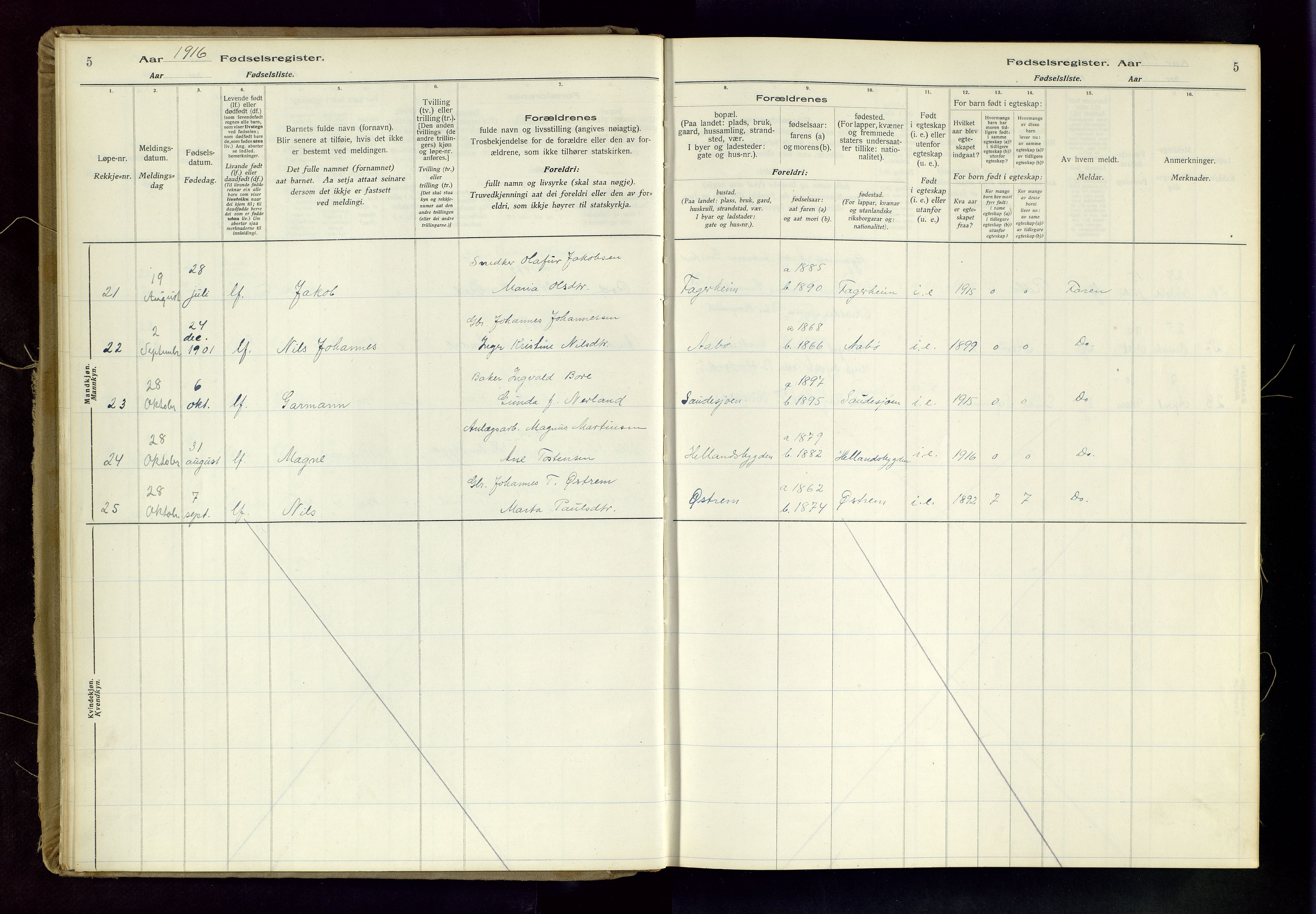 Sand sokneprestkontor, AV/SAST-A-101848/03/C/L0003: Birth register no. 3, 1916-1936, p. 5