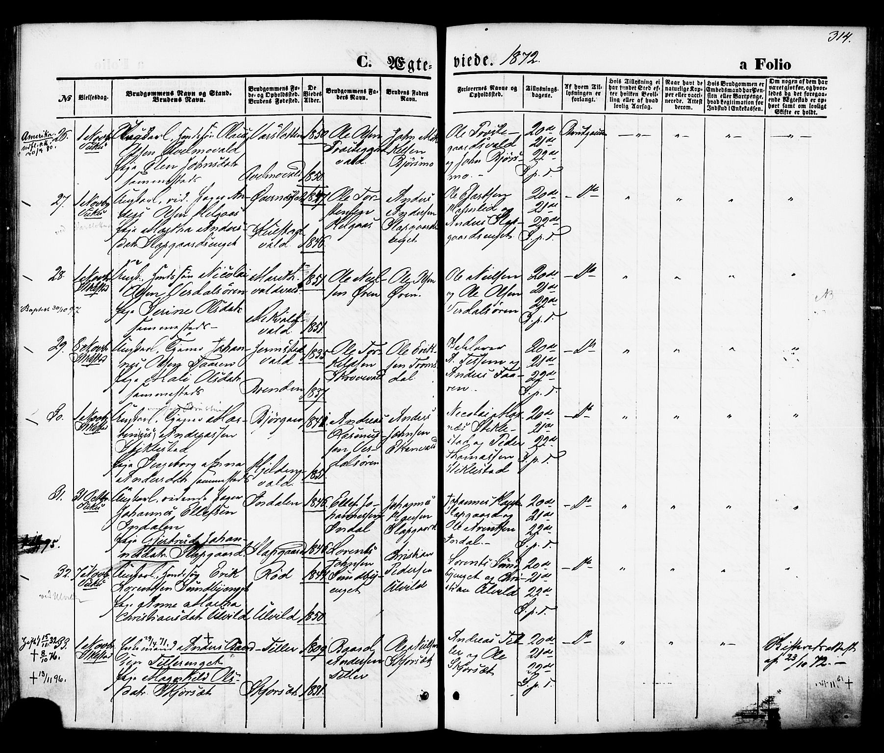 Ministerialprotokoller, klokkerbøker og fødselsregistre - Nord-Trøndelag, AV/SAT-A-1458/723/L0242: Parish register (official) no. 723A11, 1870-1880, p. 314