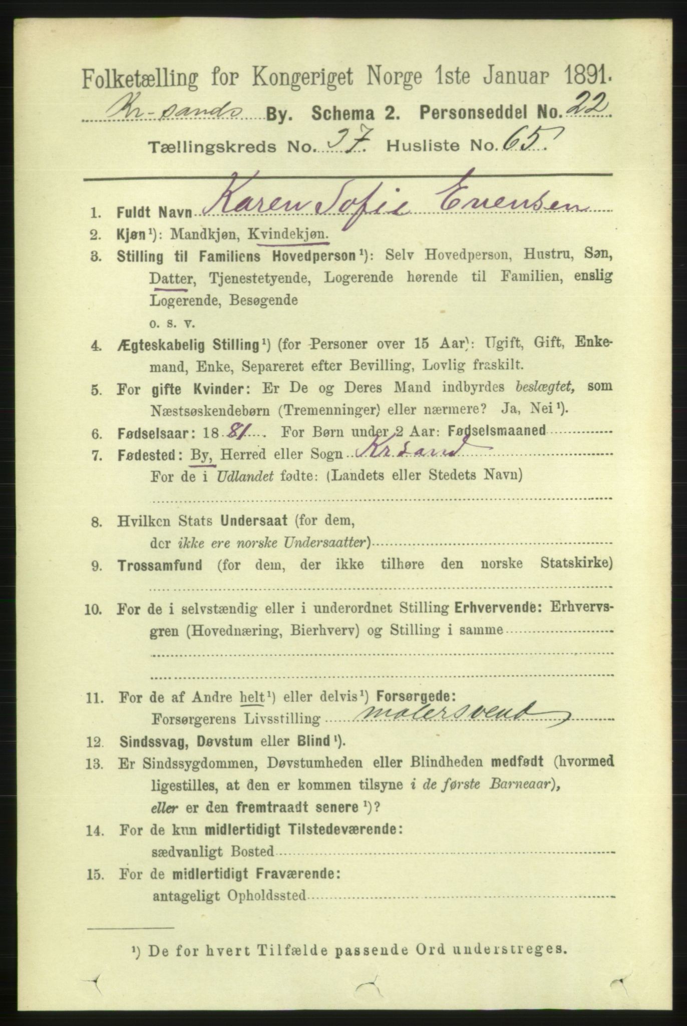 RA, 1891 census for 1001 Kristiansand, 1891, p. 12162