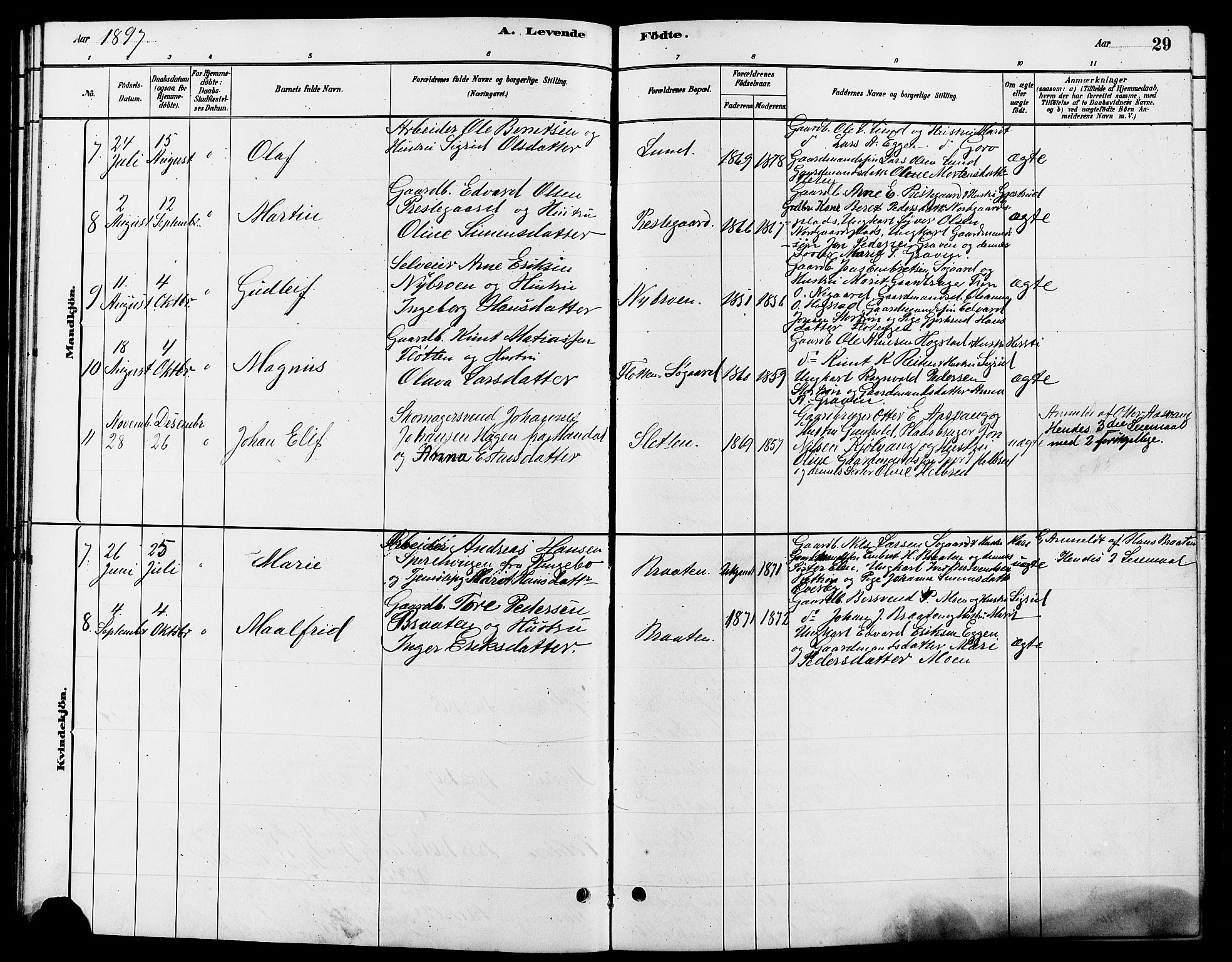 Tynset prestekontor, SAH/PREST-058/H/Ha/Hab/L0007: Parish register (copy) no. 7, 1880-1901, p. 29