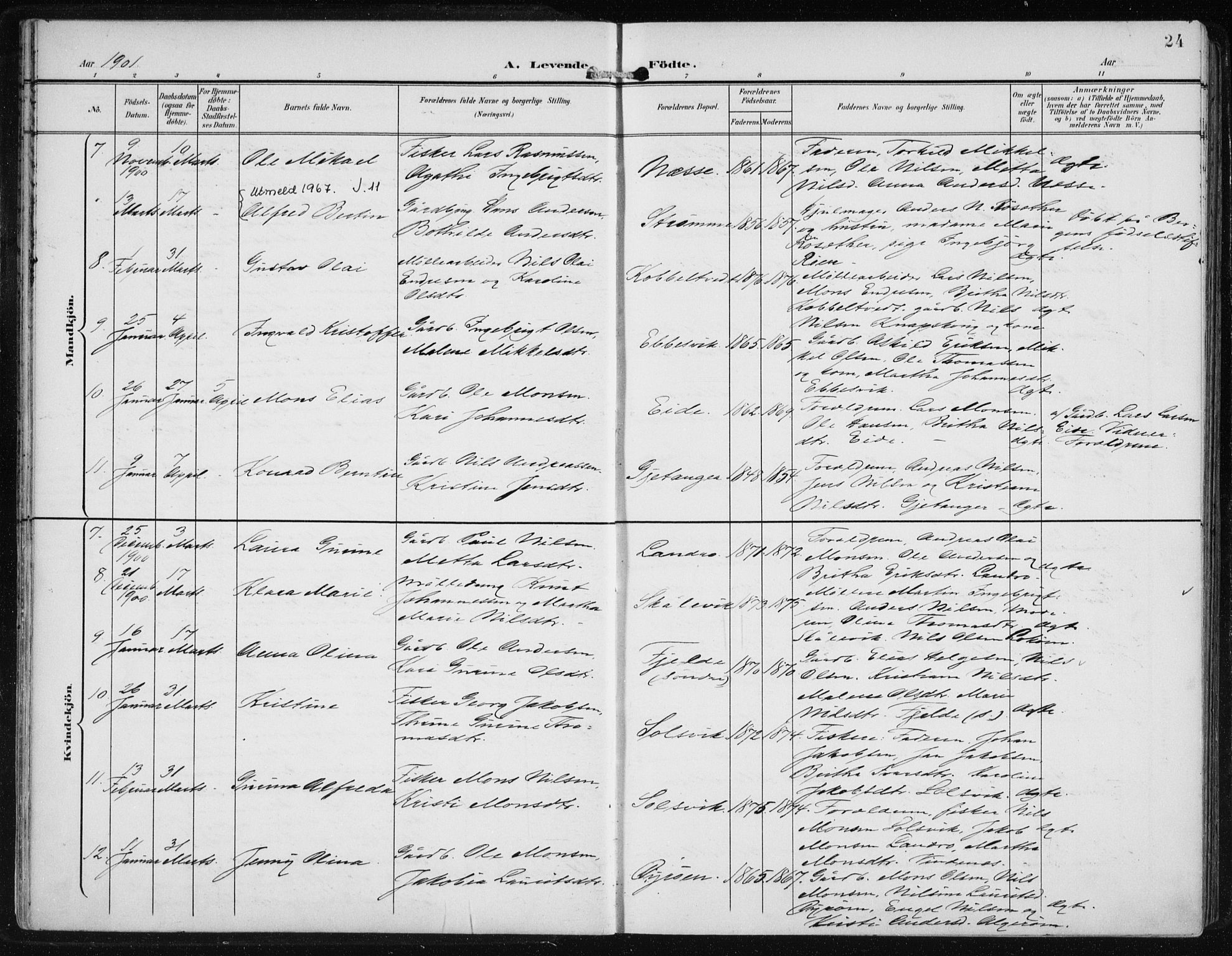 Fjell sokneprestembete, SAB/A-75301/H/Haa: Parish register (official) no. A  9, 1899-1910, p. 24
